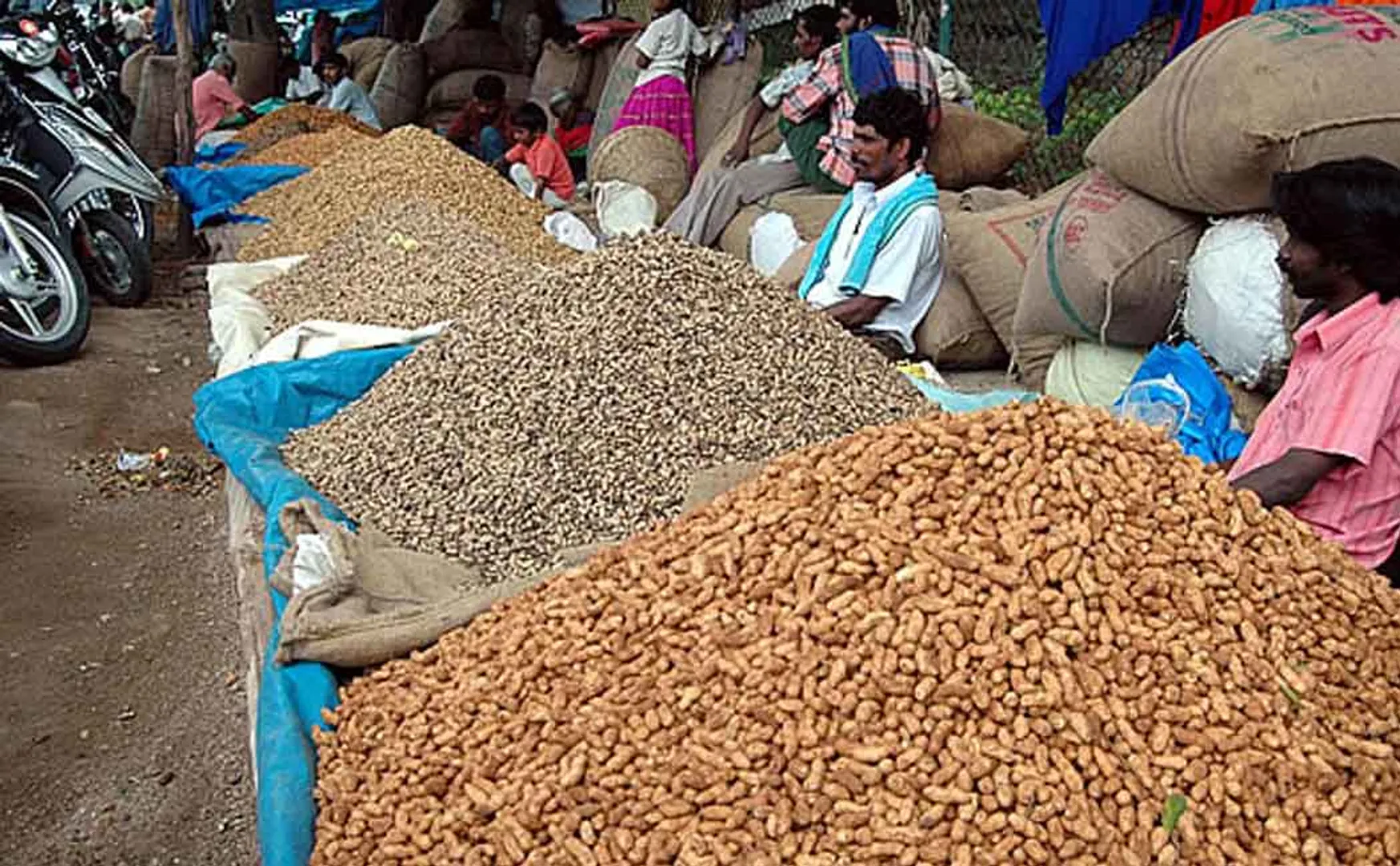 Farmers happy with groundnut price rise