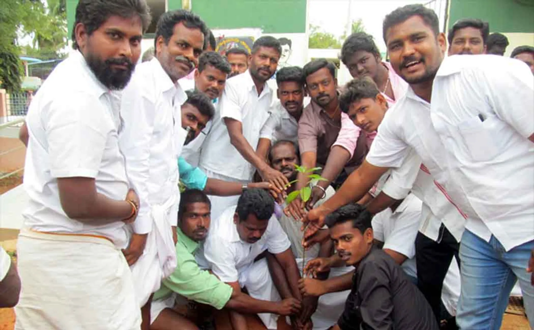 common fig tree keeramangalam