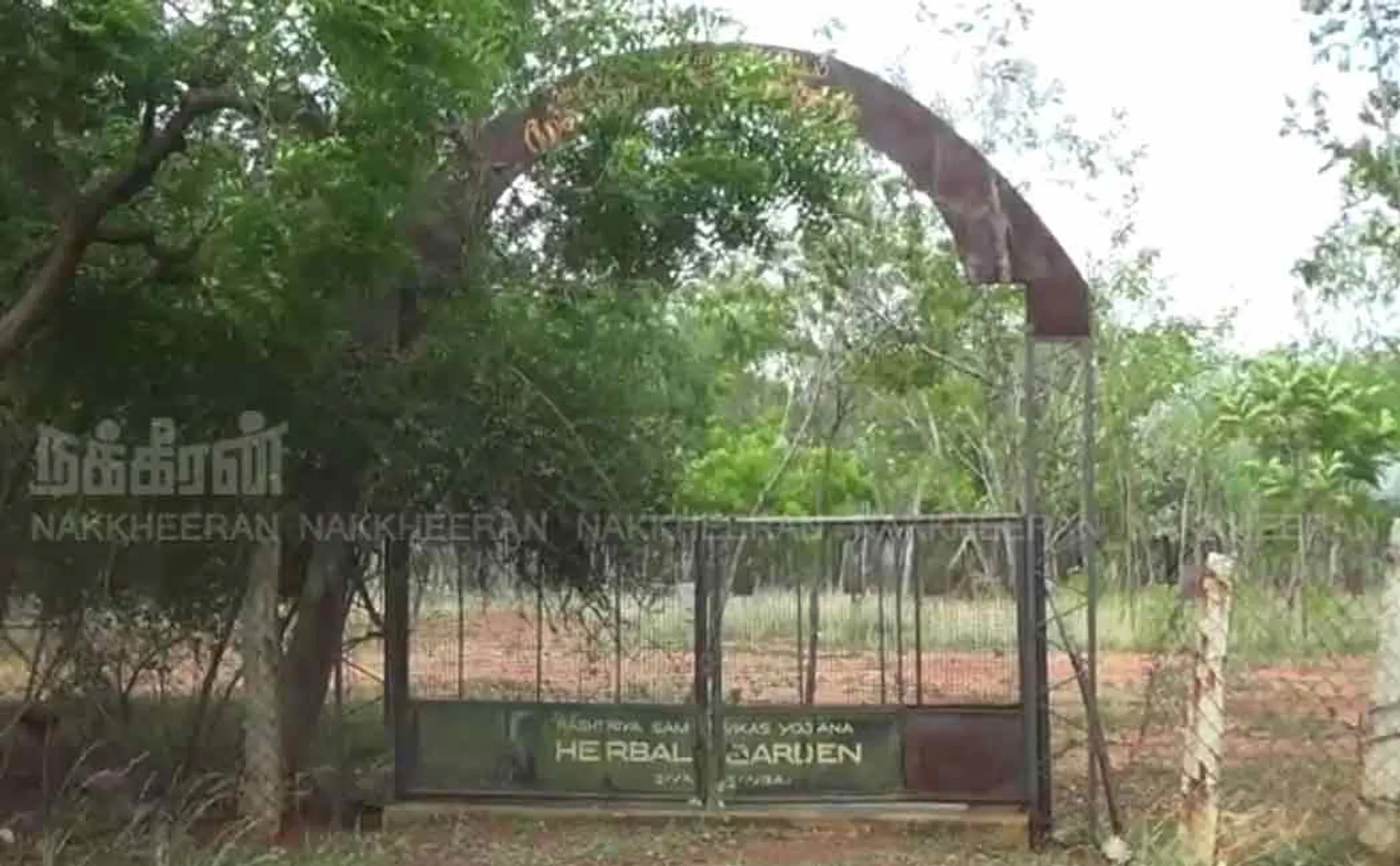 garden
