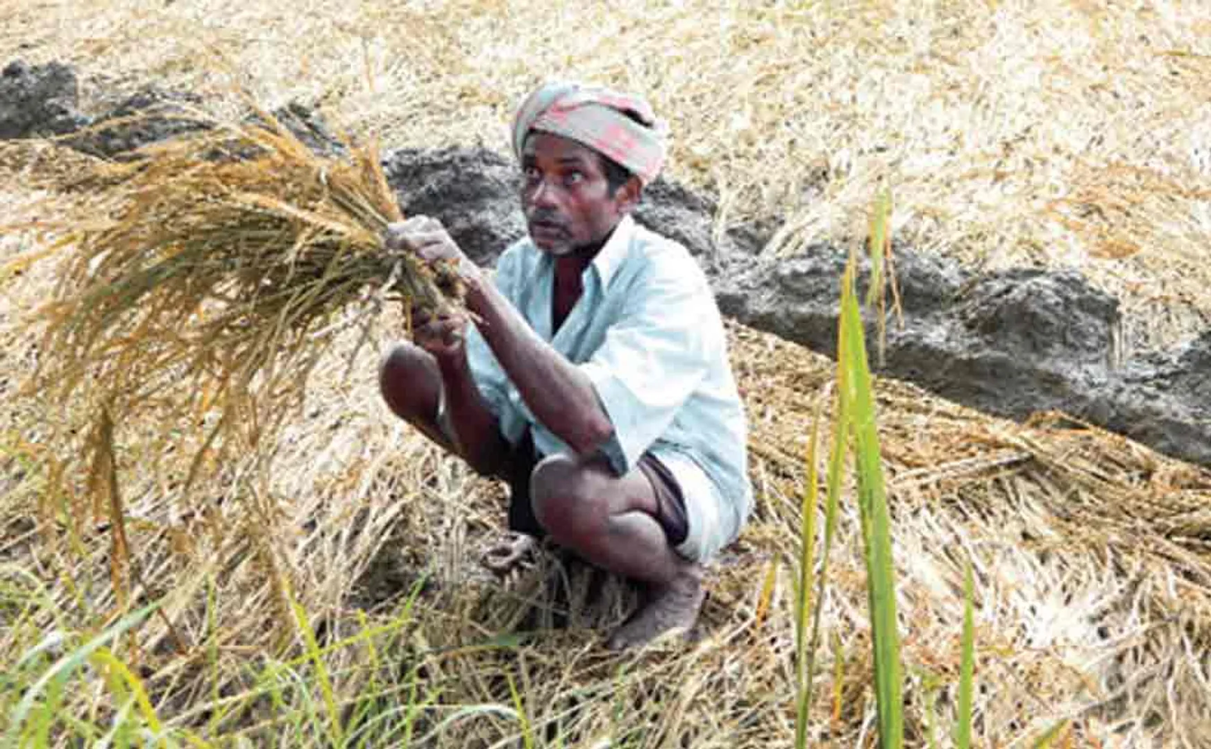 karnataka government waives farmers loan on may 23