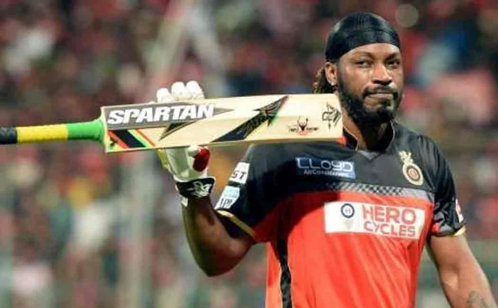 chris gayle appointed as west indies vice captain