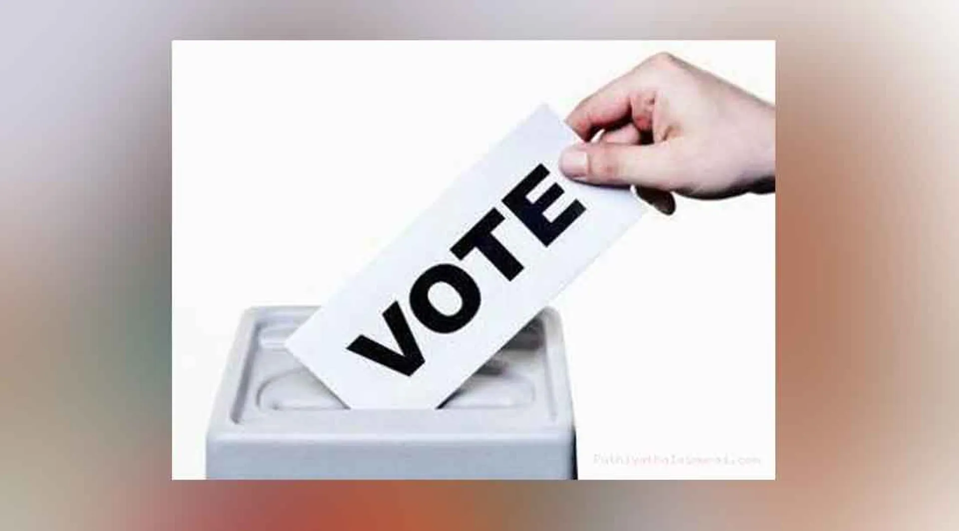 vote