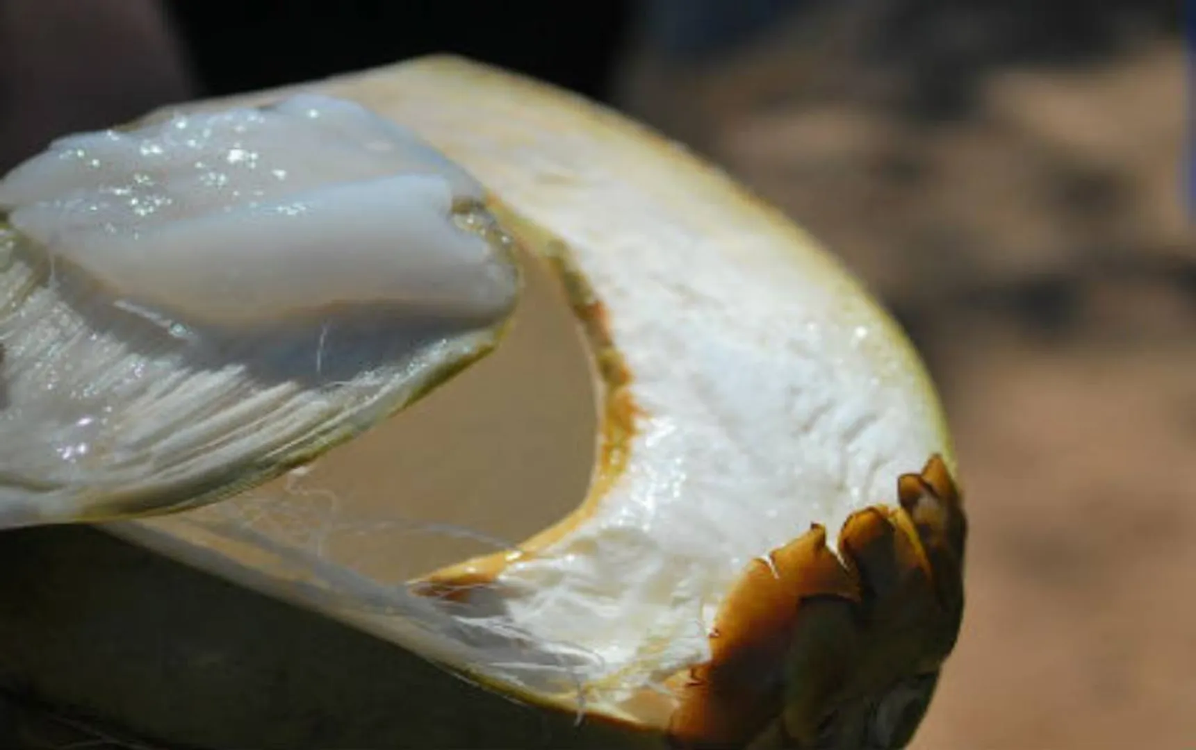 tender coconut
