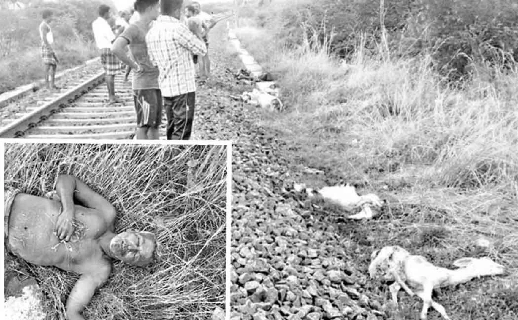 train accident 