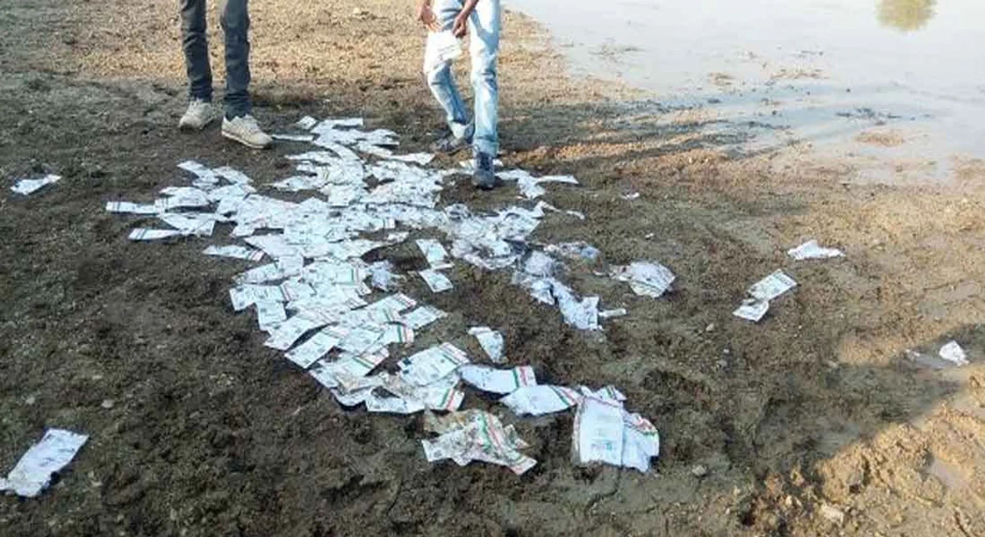 3000 adar cards throw over the river shore