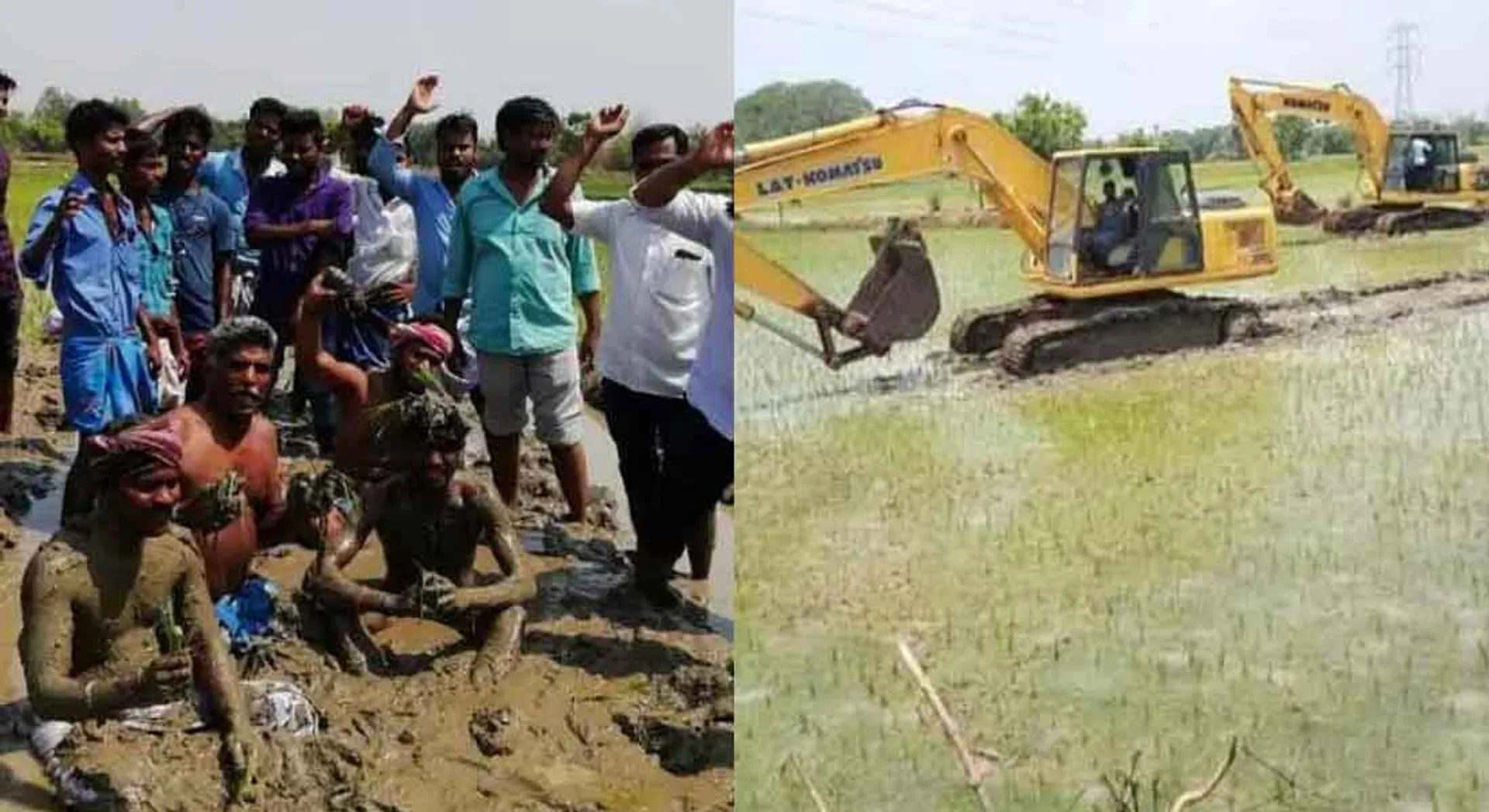  Gail company that destroys the planting field: farmer protest  