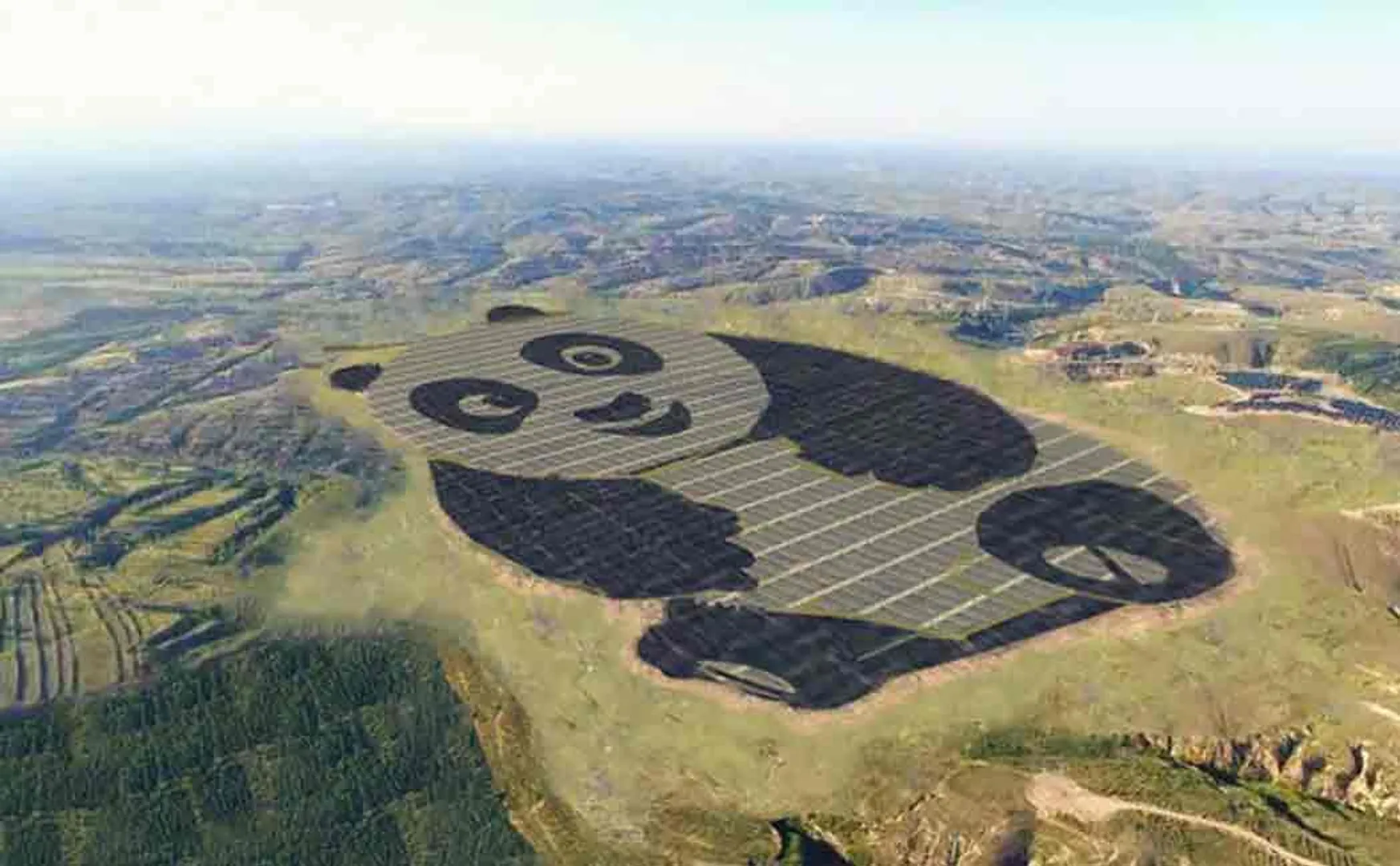 china build panda shaped solar farm
