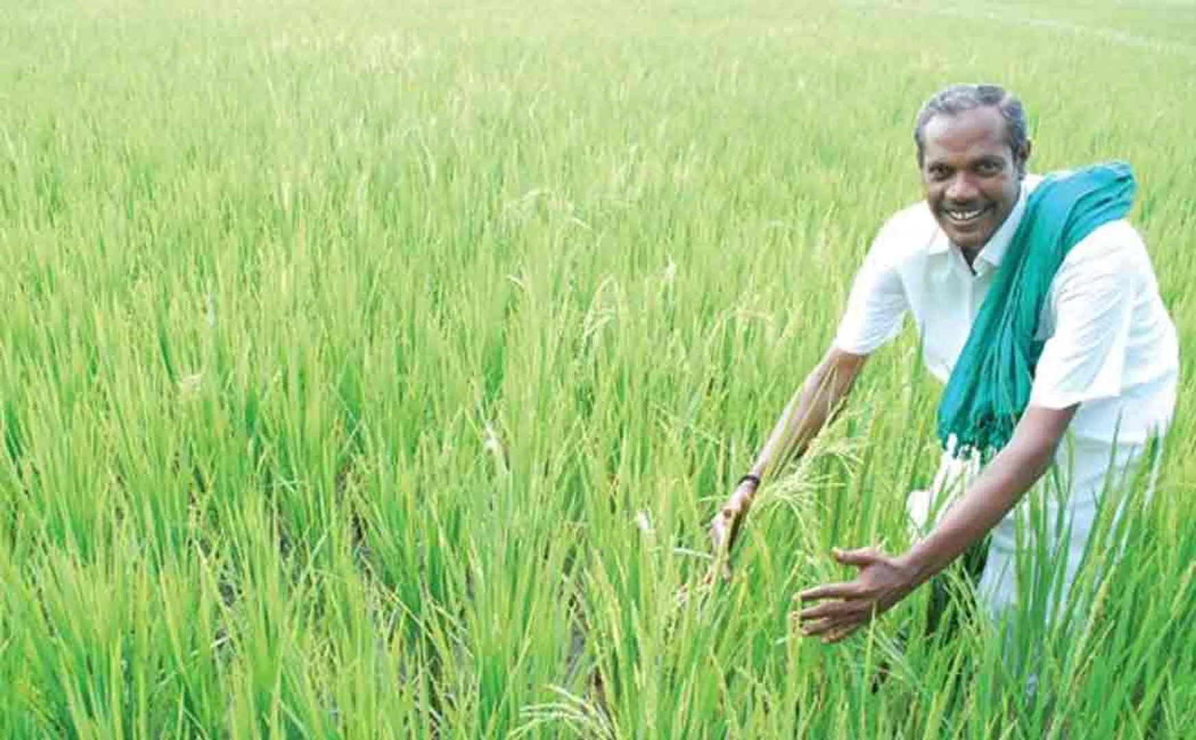 jayaraman 