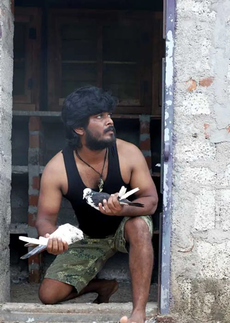 /idhalgal/cinikkuttu/pairy