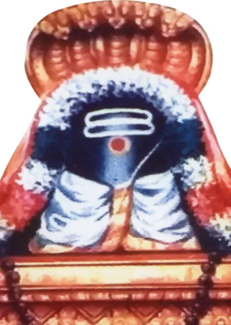 /idhalgal/om/kovilpatti-goman
