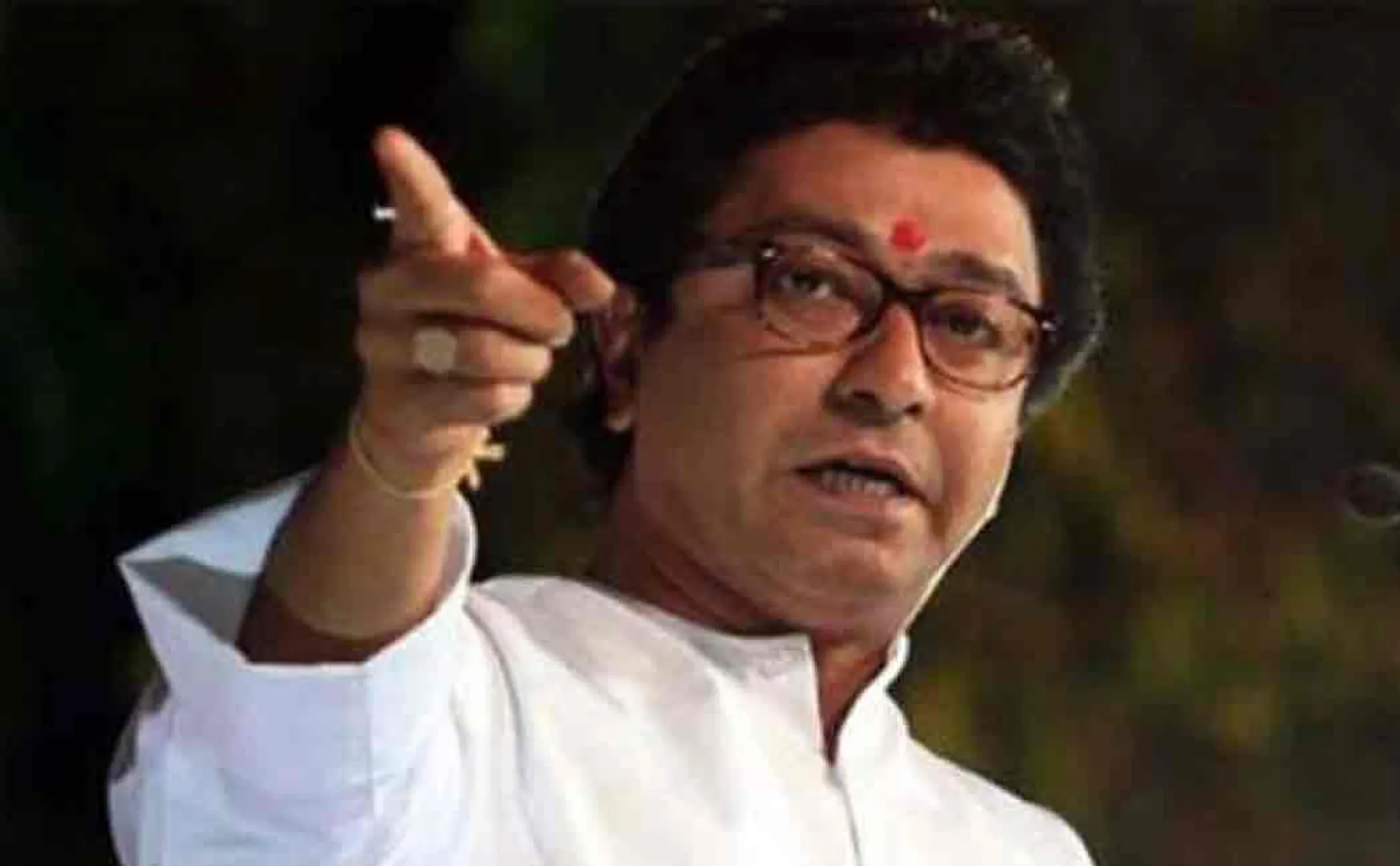 raj thackeray statement about hindi imposition