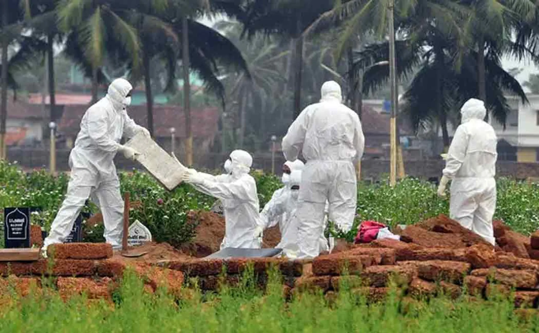 nipah virus infection in kerala