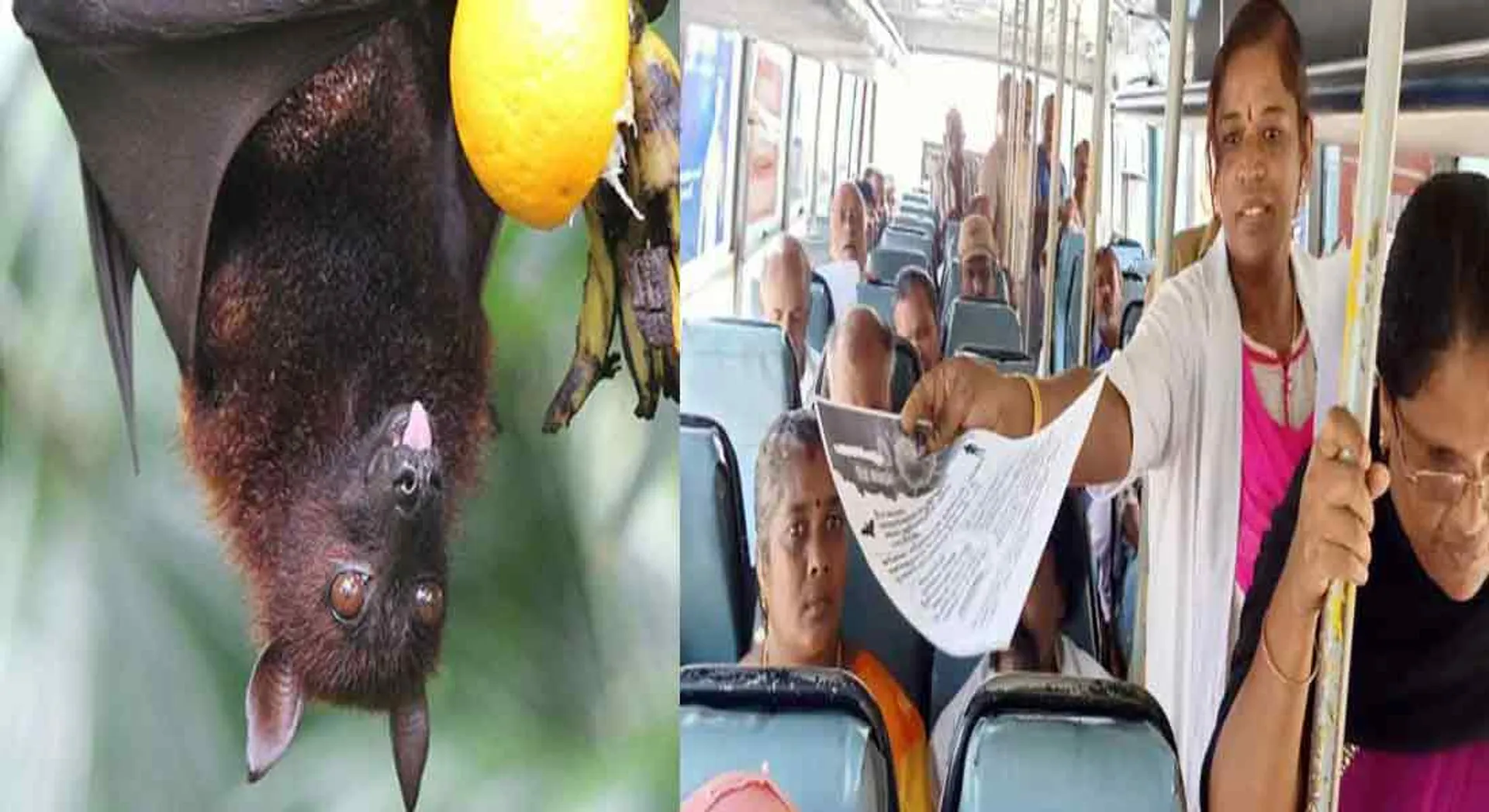  Preliminary action on the Tamil Nadu border to prevent the spread of NIFA virus!