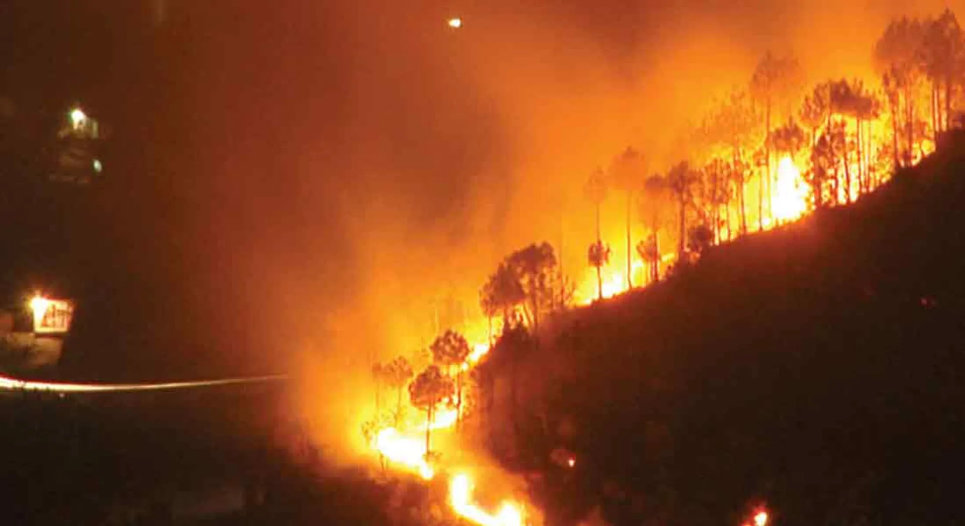 Wildfire in theni...Will the forest department  take action?
