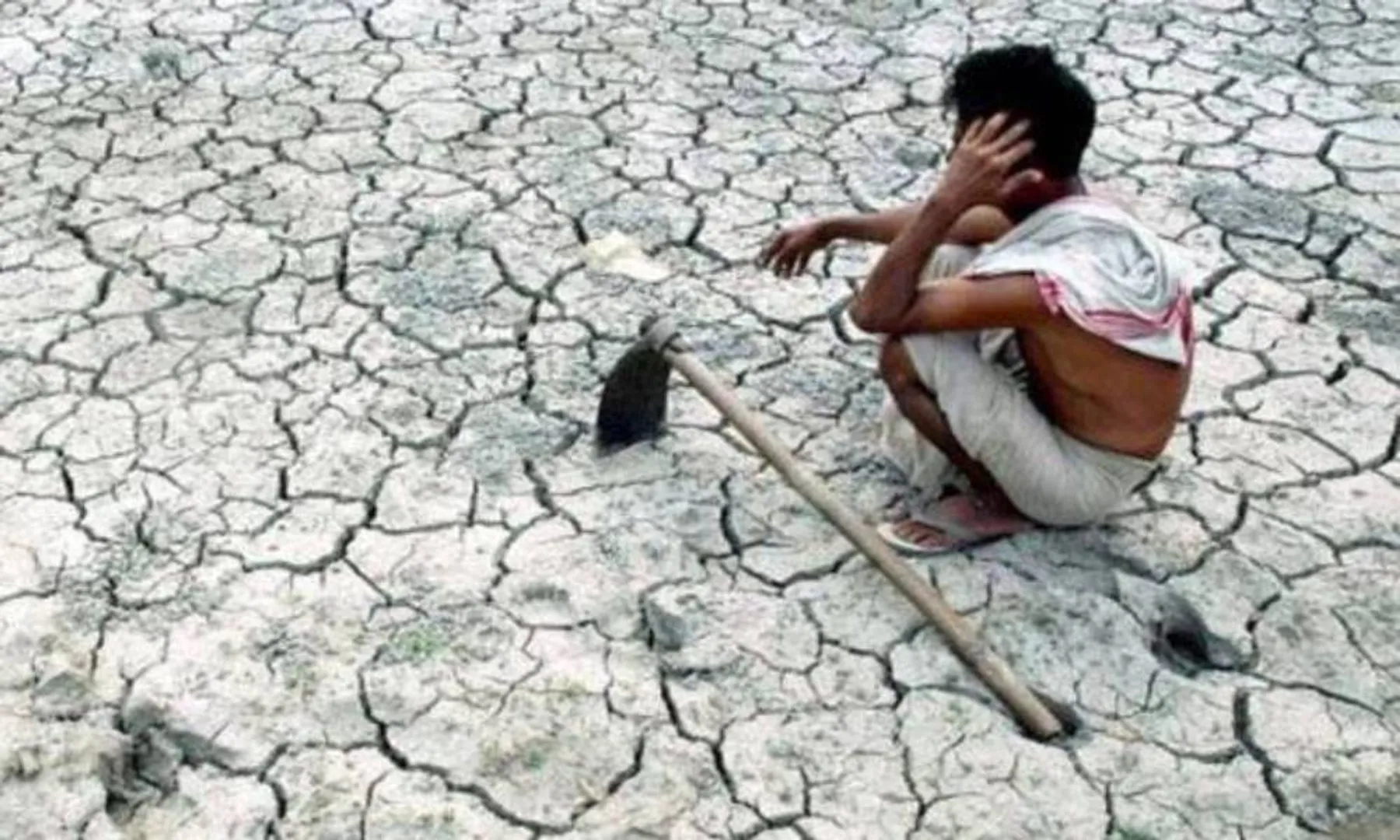 MAHARASHTRA STATE FARMERS DEATH