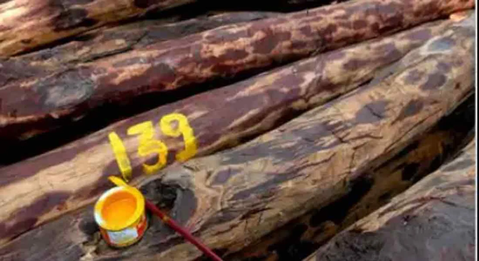  30kg sandalwood seized in  kovai