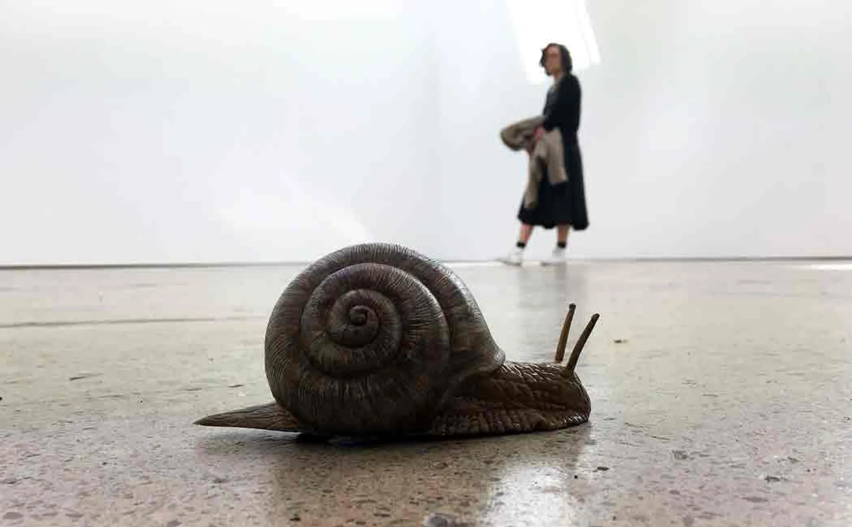 small snail stops 25 bullet trains in japan