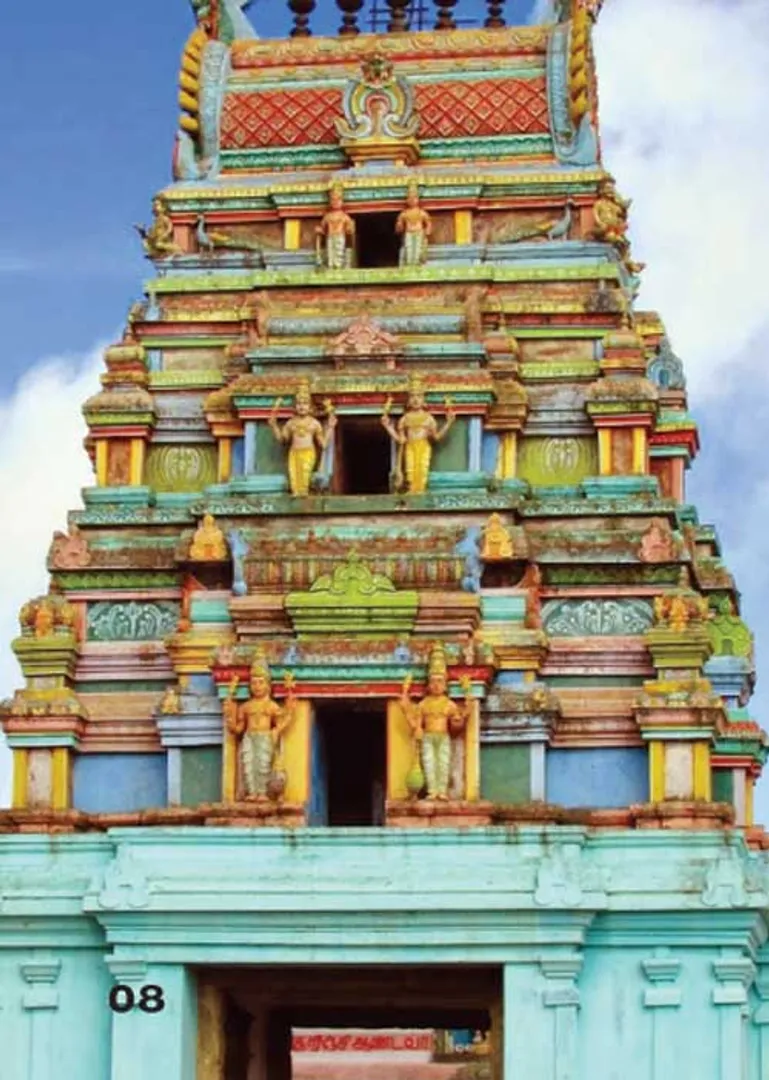 /idhalgal/om/summer-shortening-solution