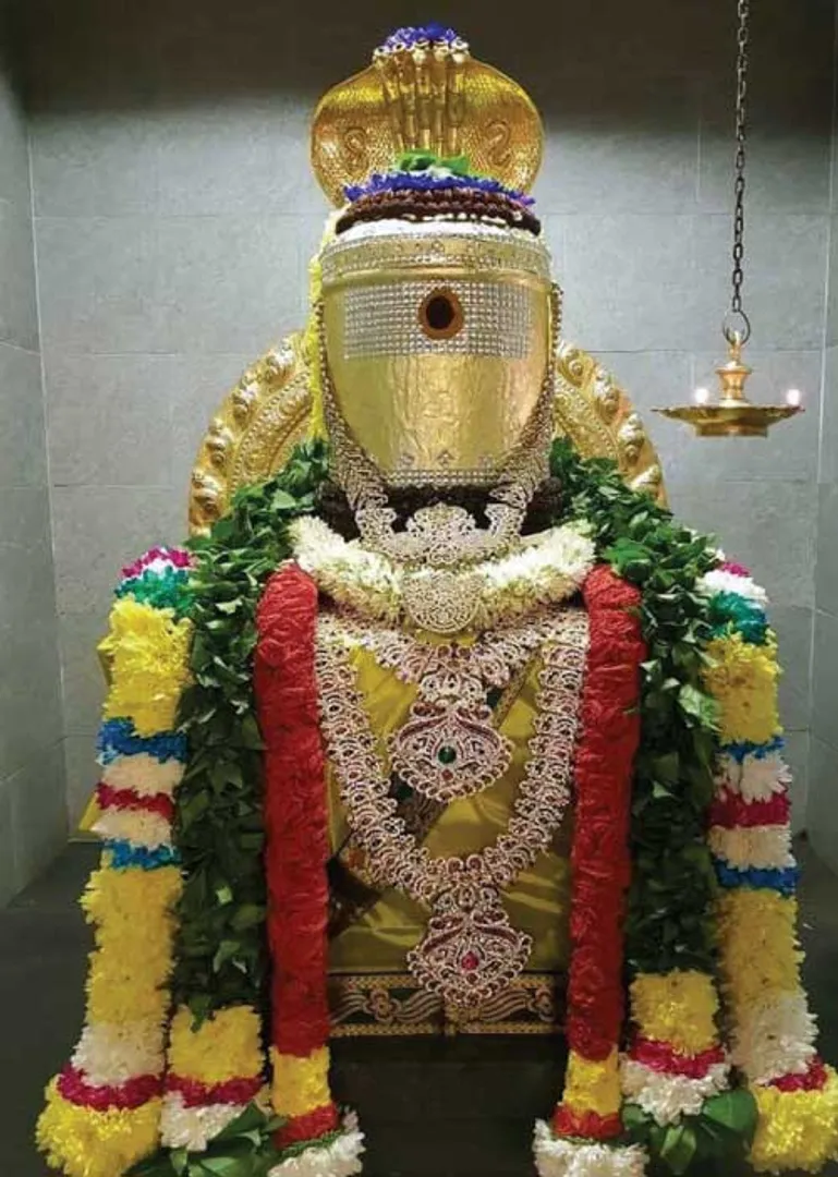 /idhalgal/om/cropping-code-9