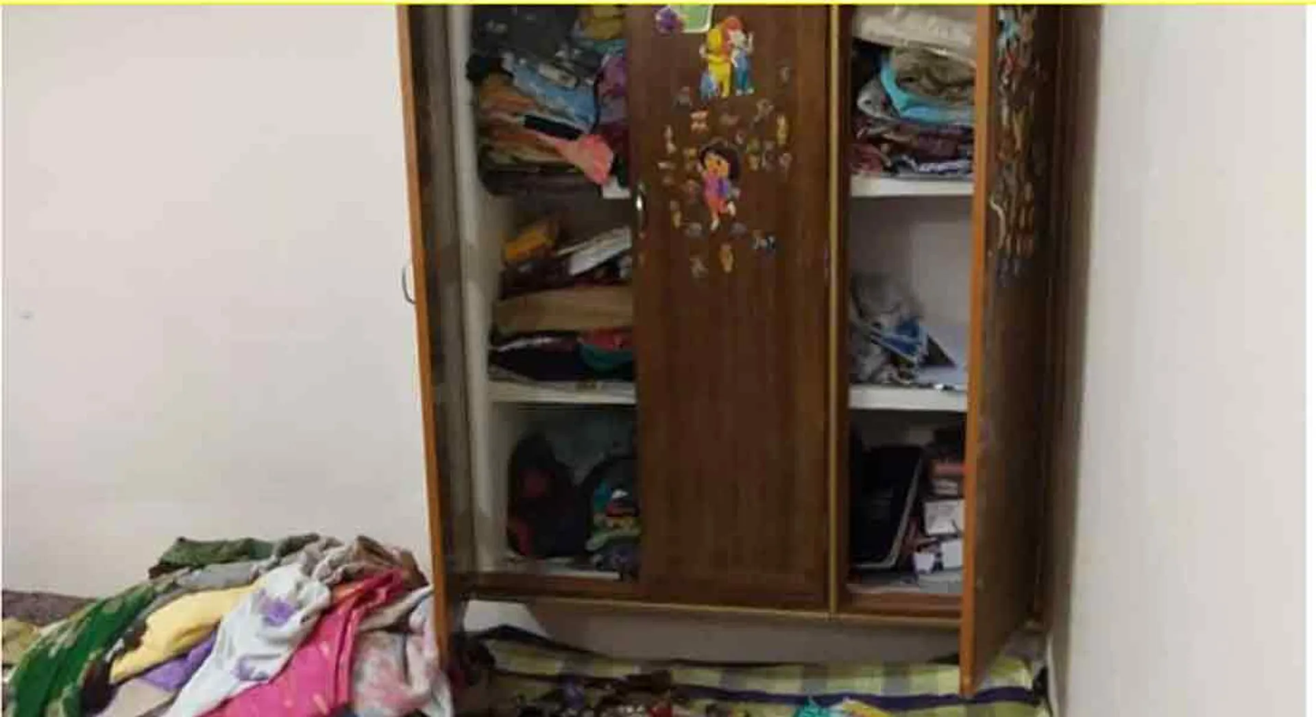 Theft at the university professor's house! 