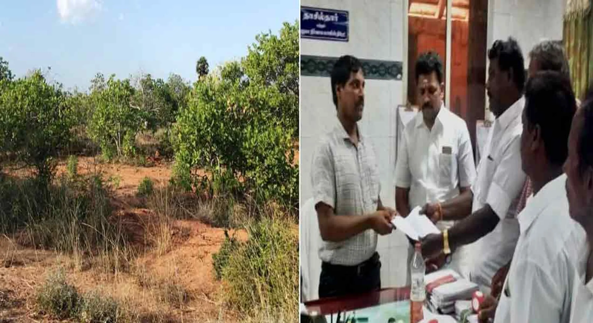  Forest Department to destroy cashew forest at once! Public protest against drought