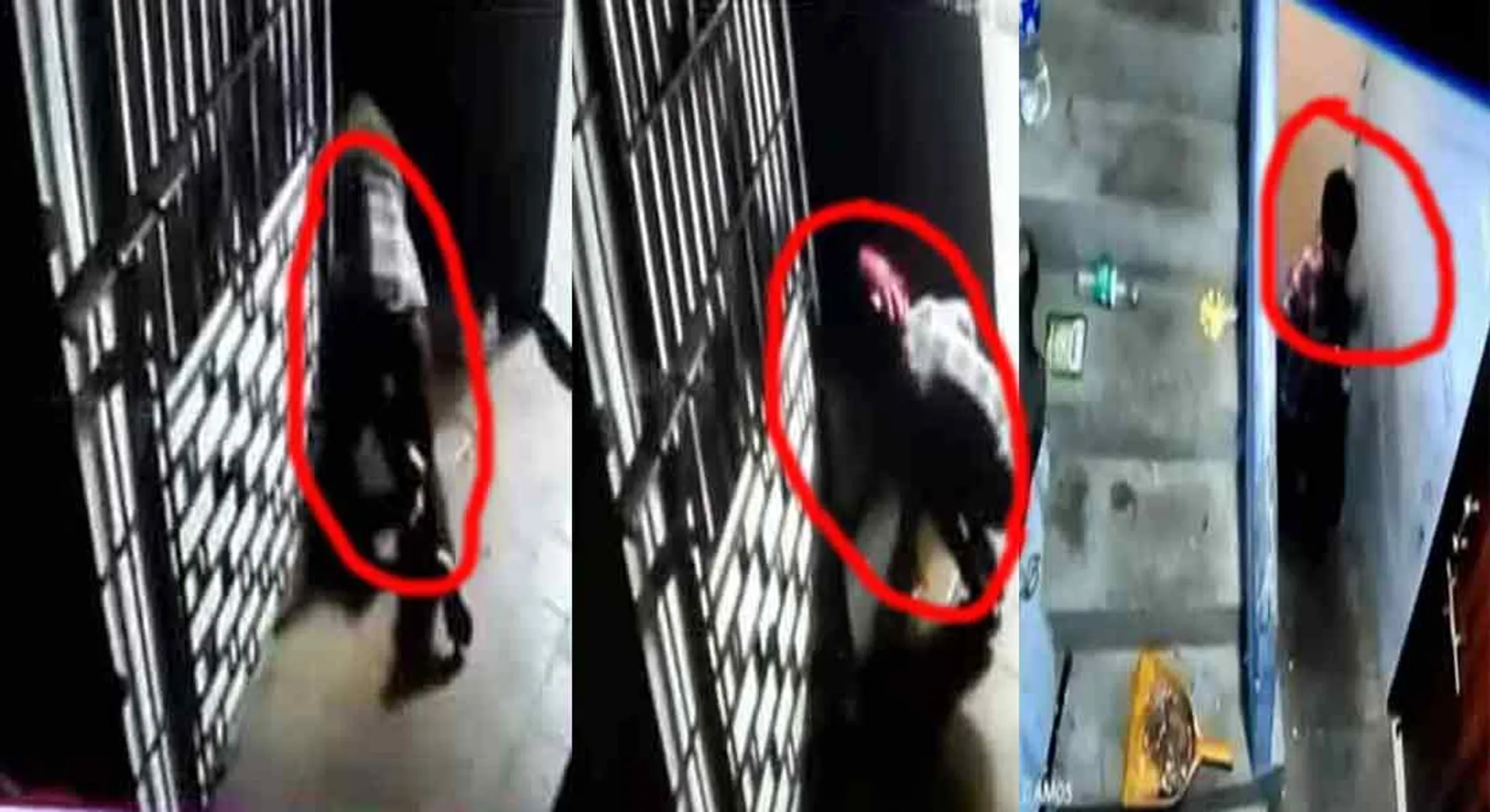  Sexual harassment of women sleeping in private women's hostel in chennai 