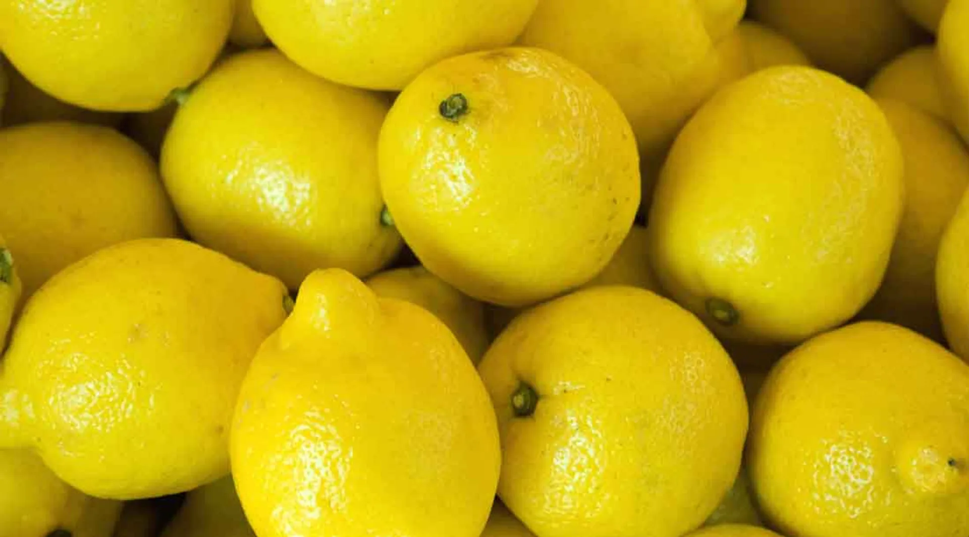 lemon