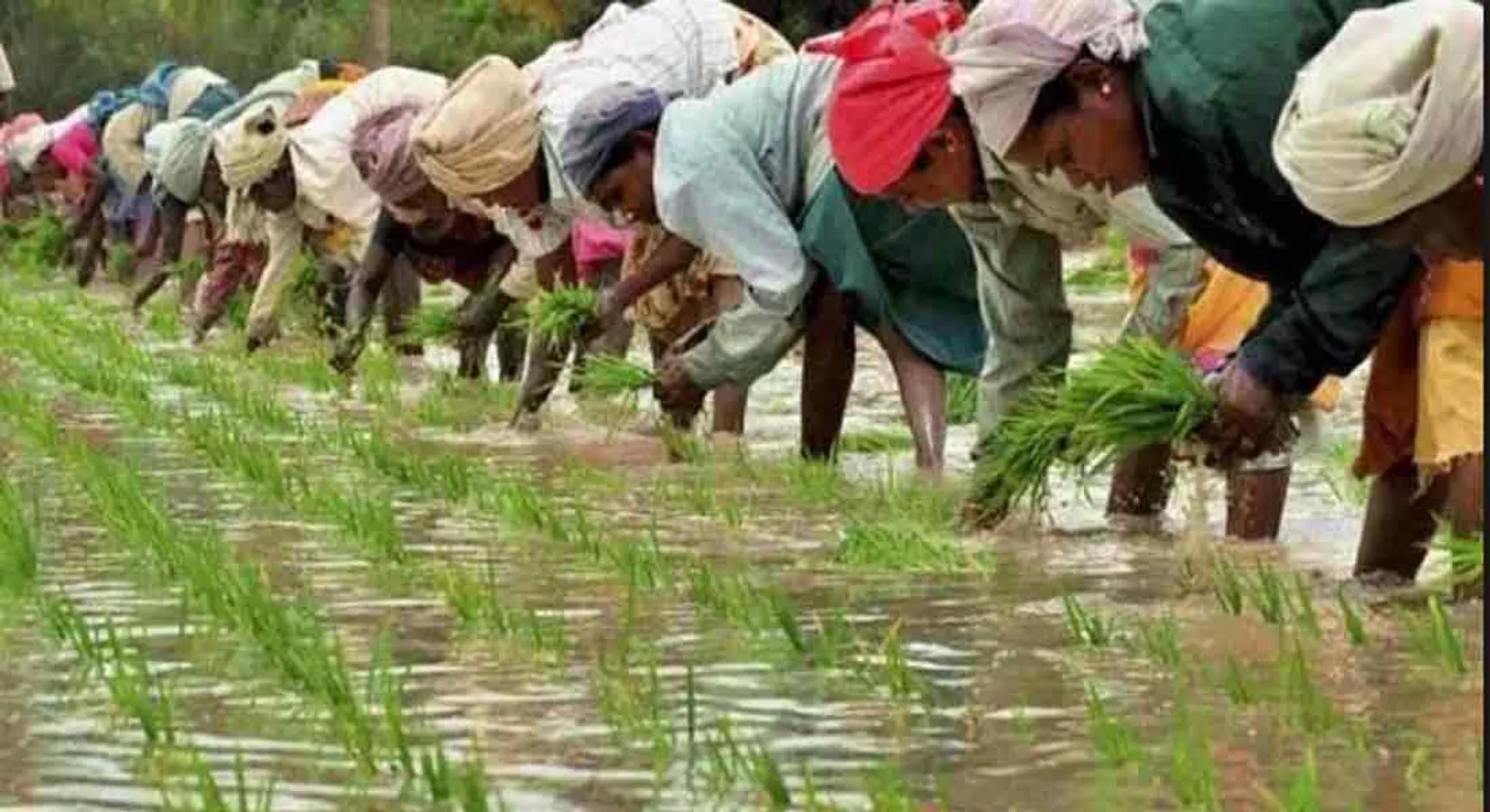 Farmers demand special insurance scheme- Farmers demand!