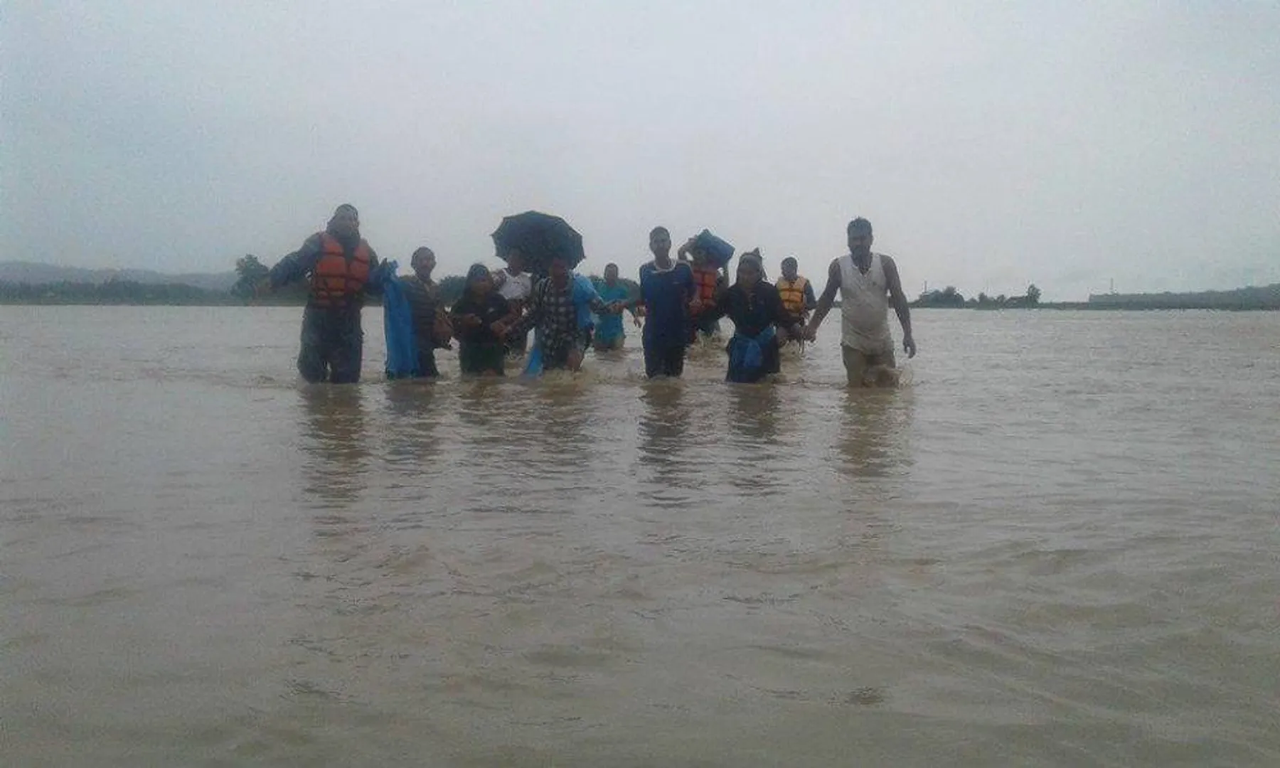  A team of Gujarat Forest Department rescued two monkeys stuck on a tree due to flood in Vadodara. 
