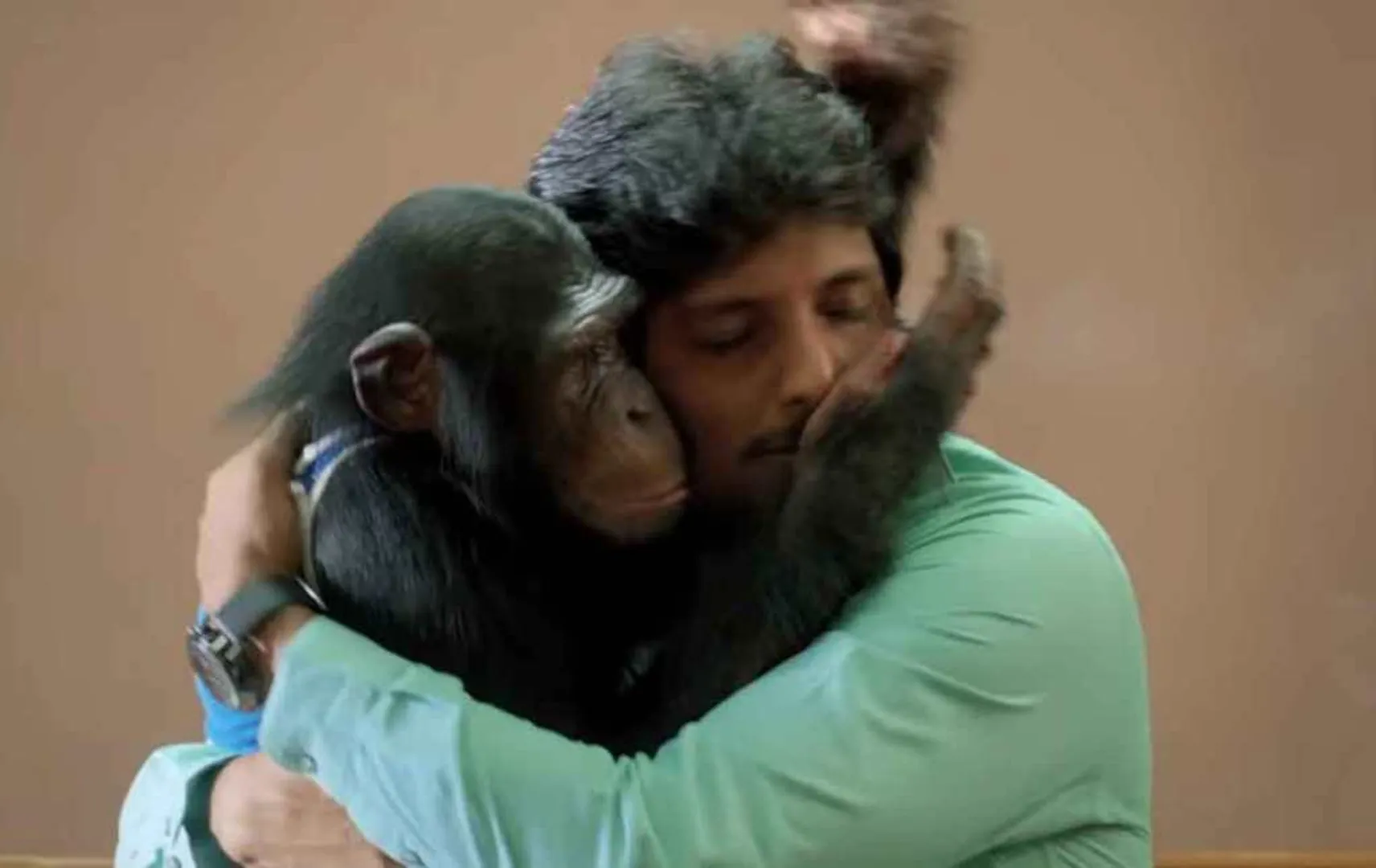 gorilla jiiva