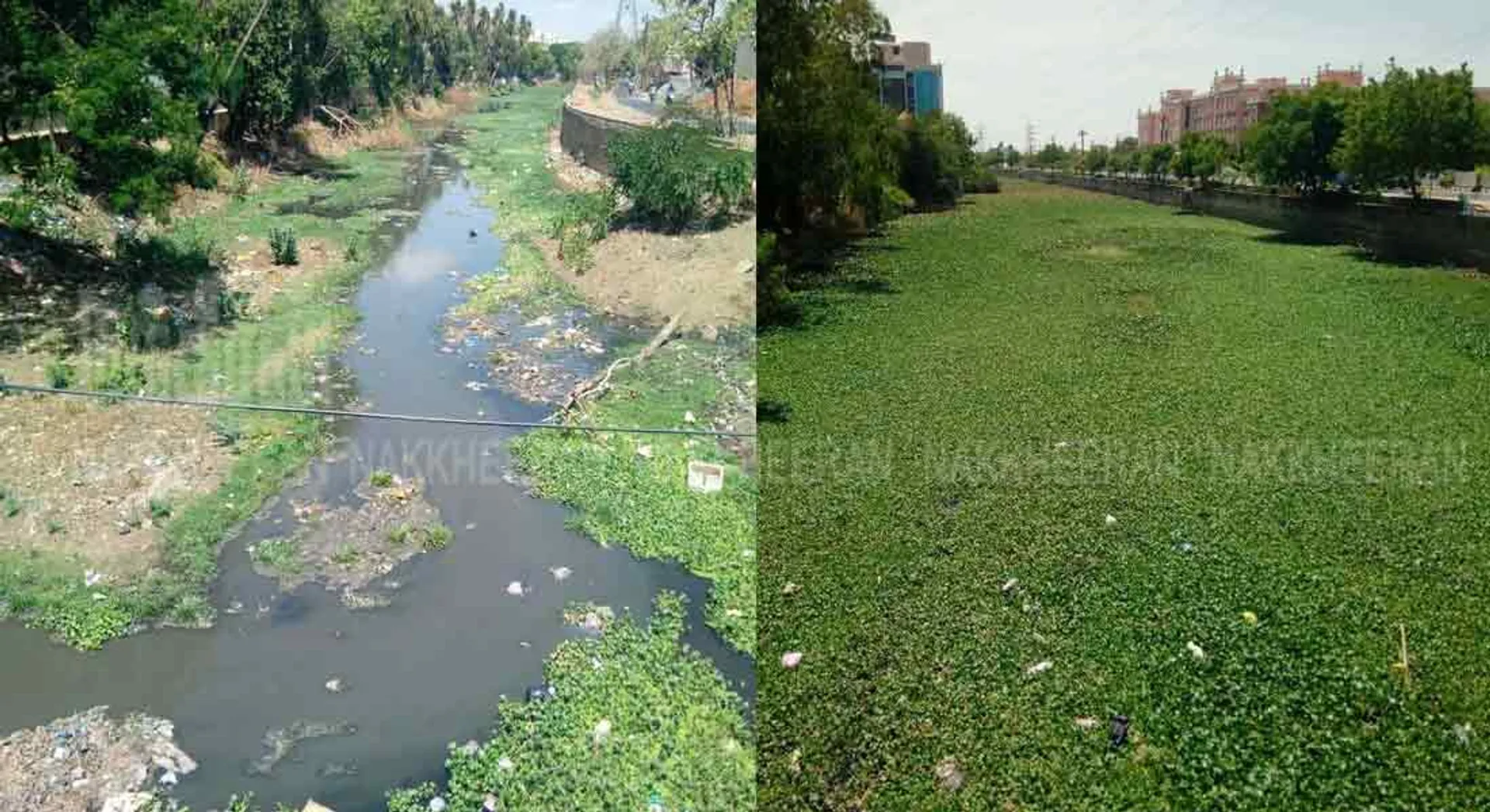 Sewage mixing in the canal in Udayakonda ;chief minister  was the first to acknowledge the truth in the assembly!