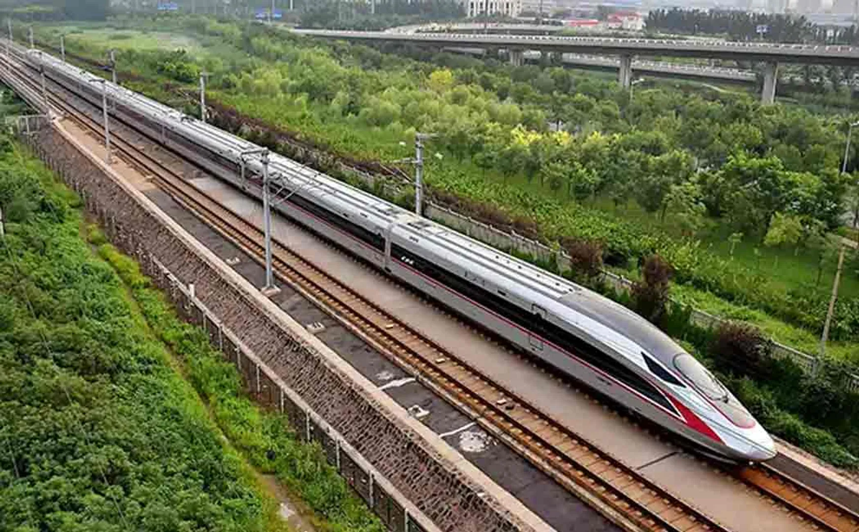 53000 trees to be cut down for mumbai gujarat bullet train 