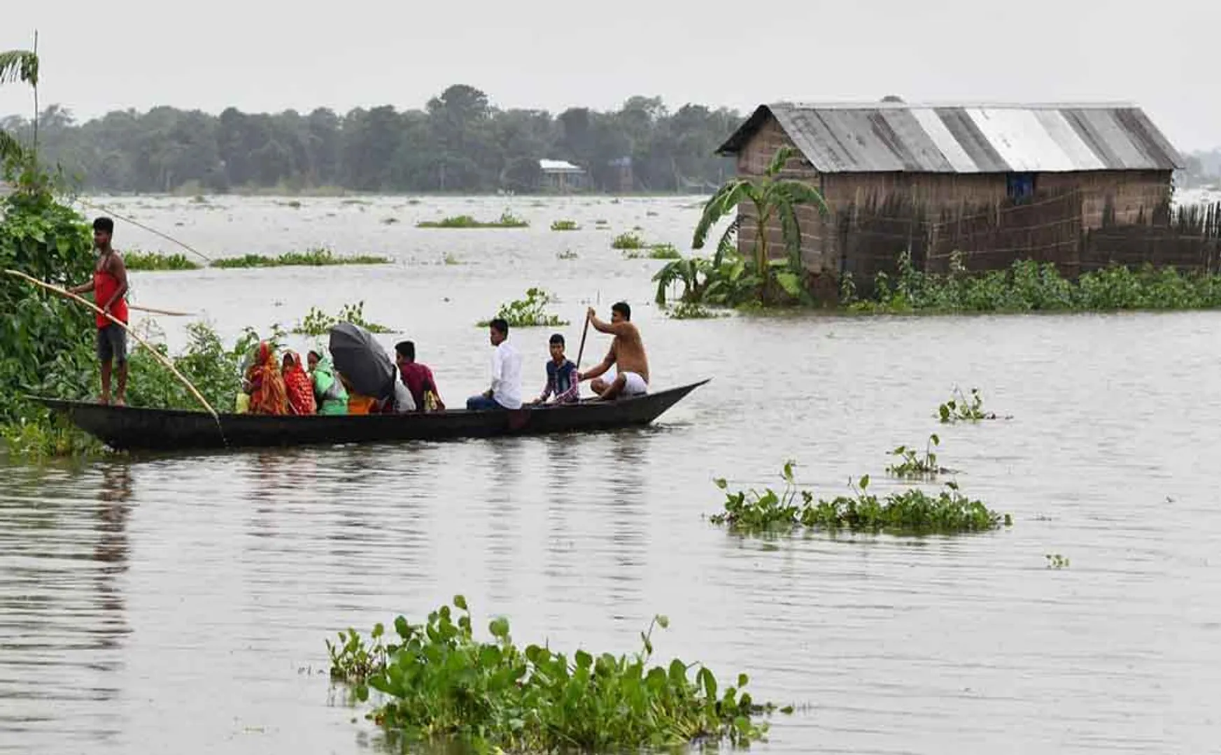 Rescue team saves rhino calf from drowning in the water at Kaziranga National Park