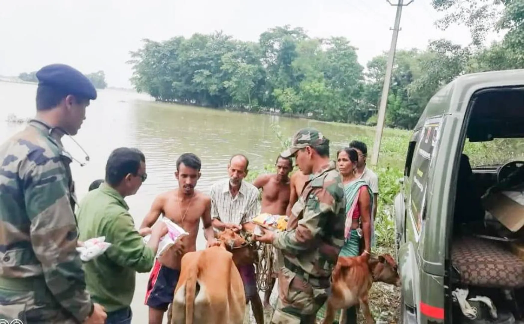 INDIA ASSAM AND BIHAR STATES FULLY AFFECTED IN HEAVY RAIN KAZIRANGA PARY ANIMALS DEATH INCREASE