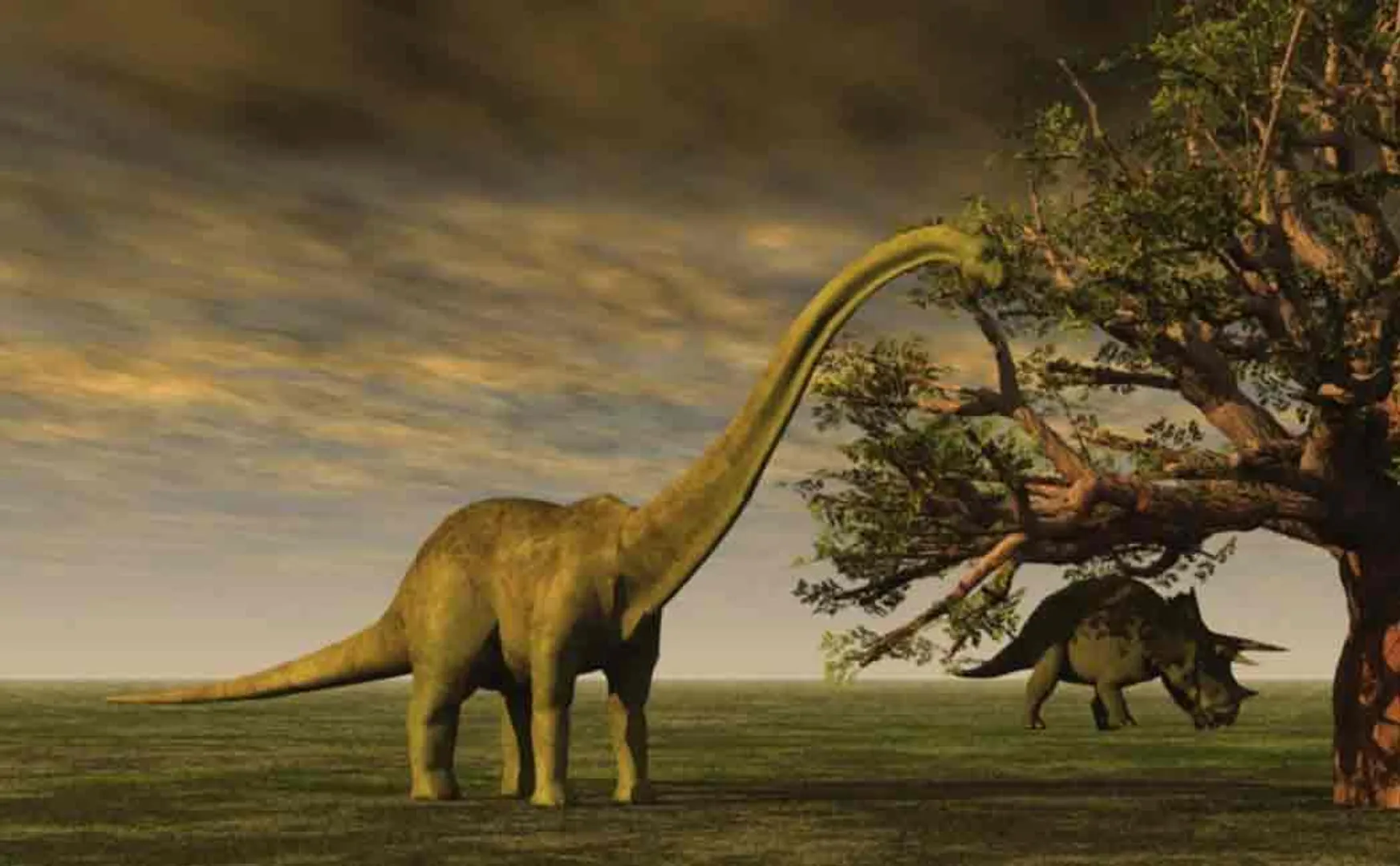 140 million year old dinosaur bone found in france