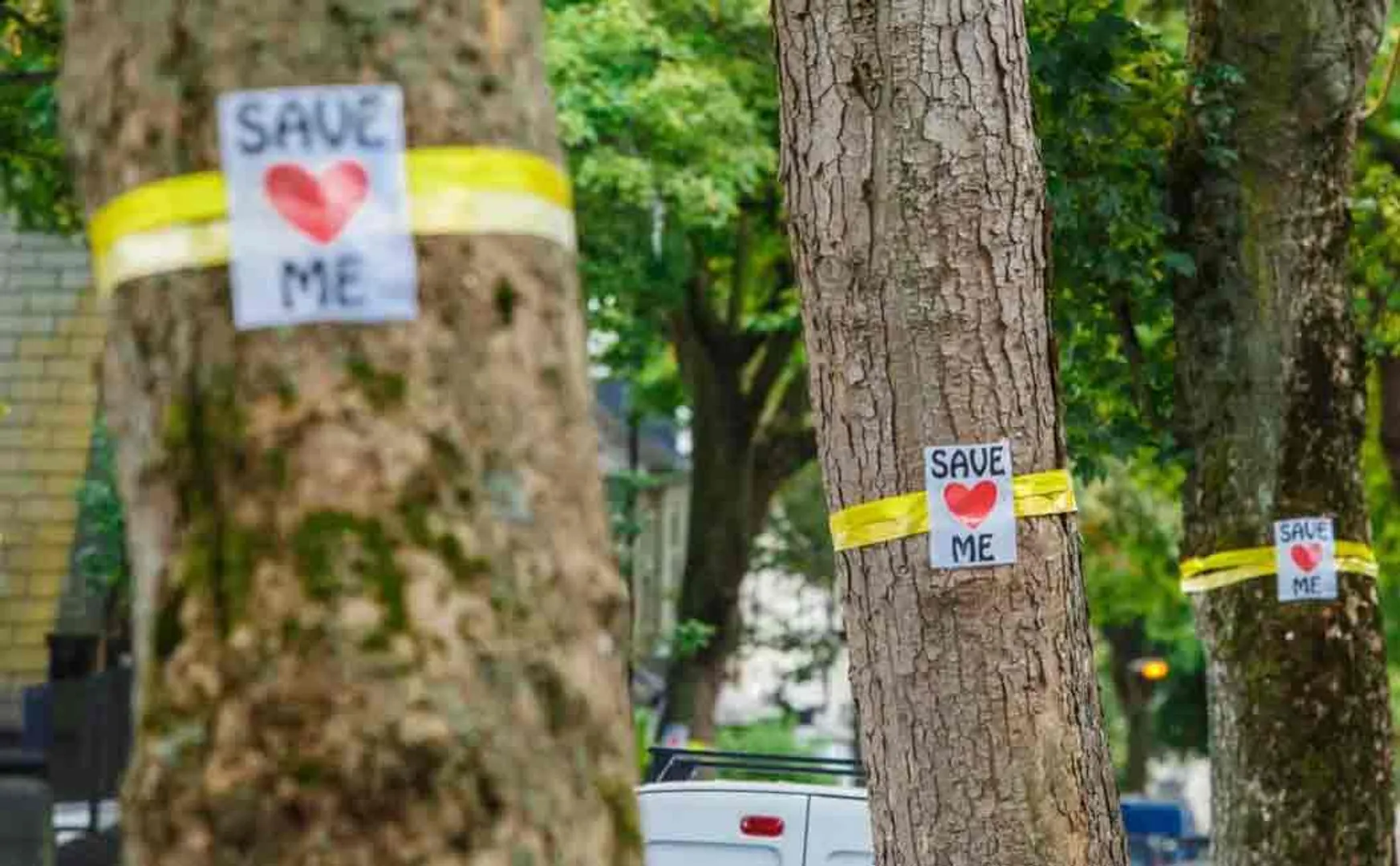 one crore trees cut downed in last five years in india