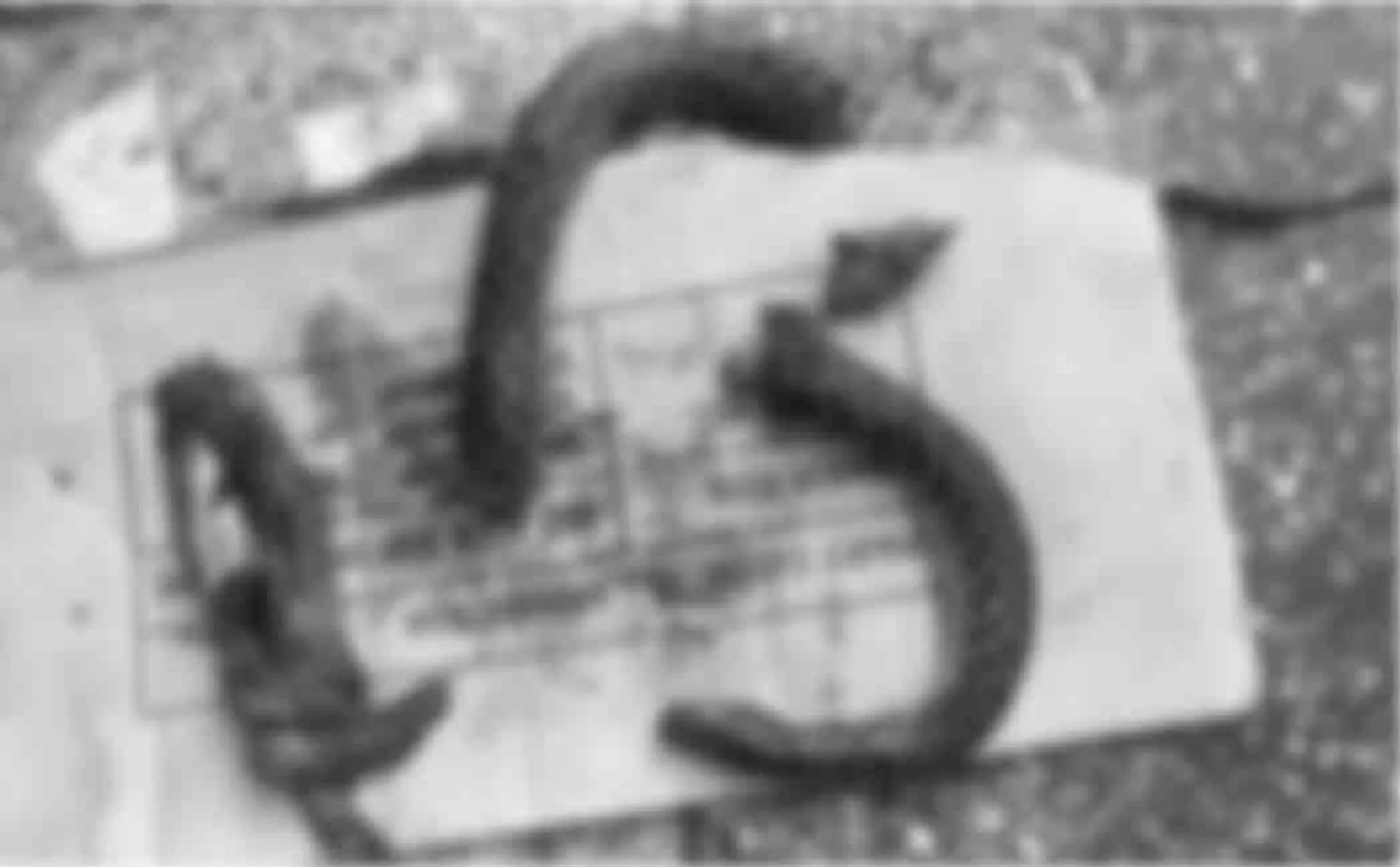uttarpradesh man bites snake