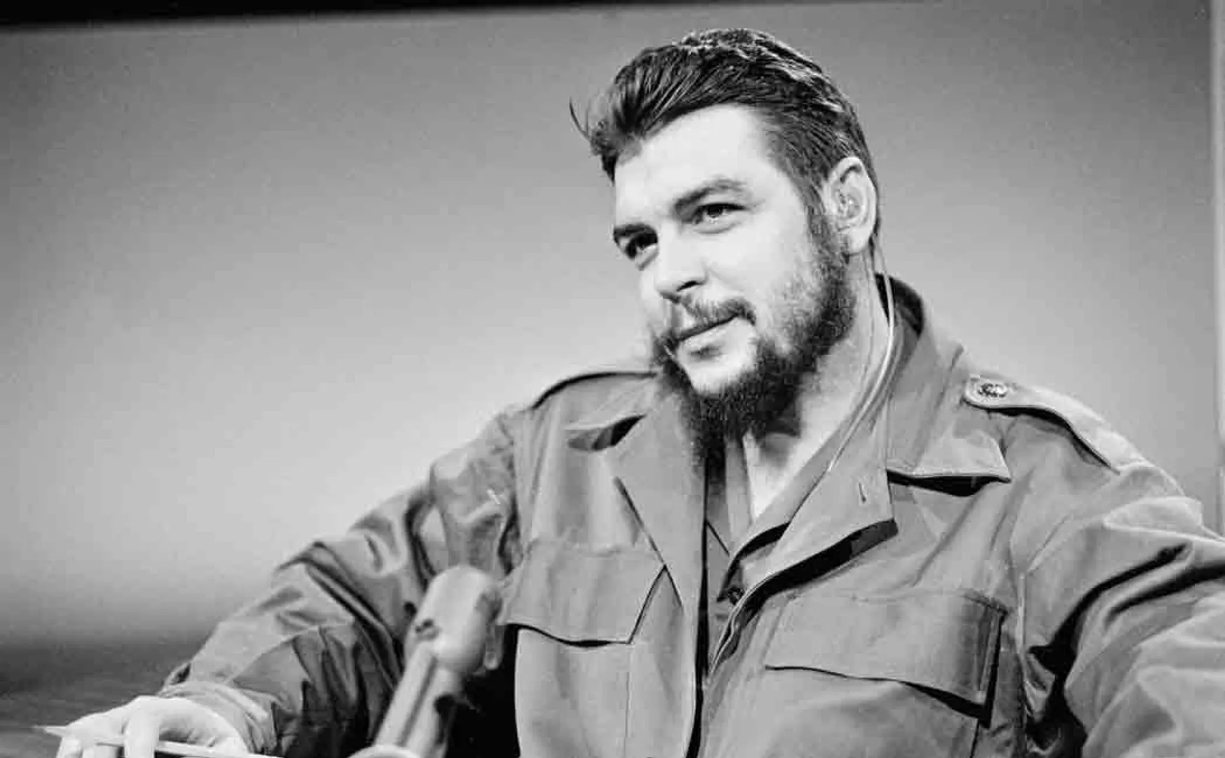 che guevara's daughter visits india