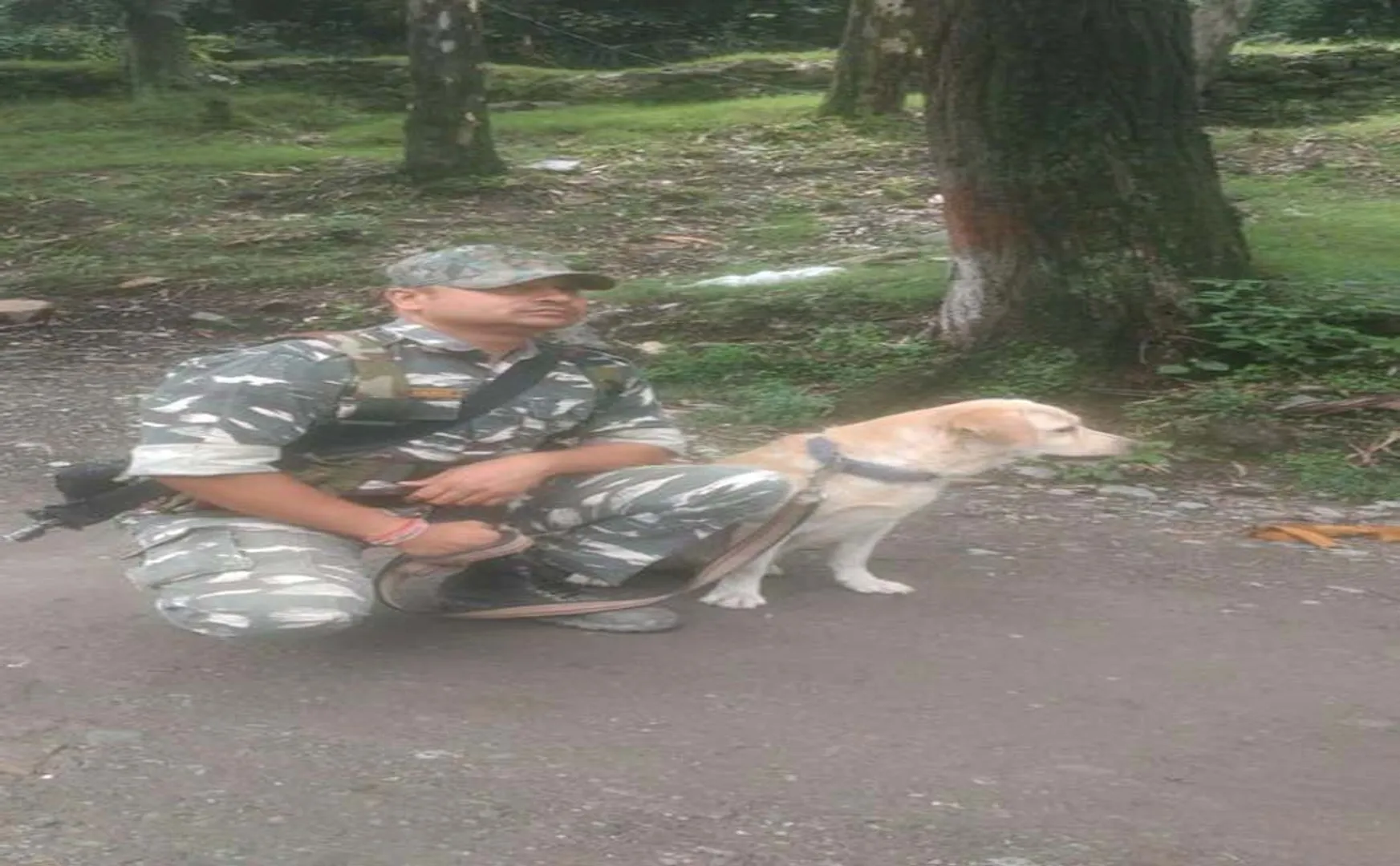 jammu and srinagar high way heavy rain collapse in soil rescued person help to crpf and police dog