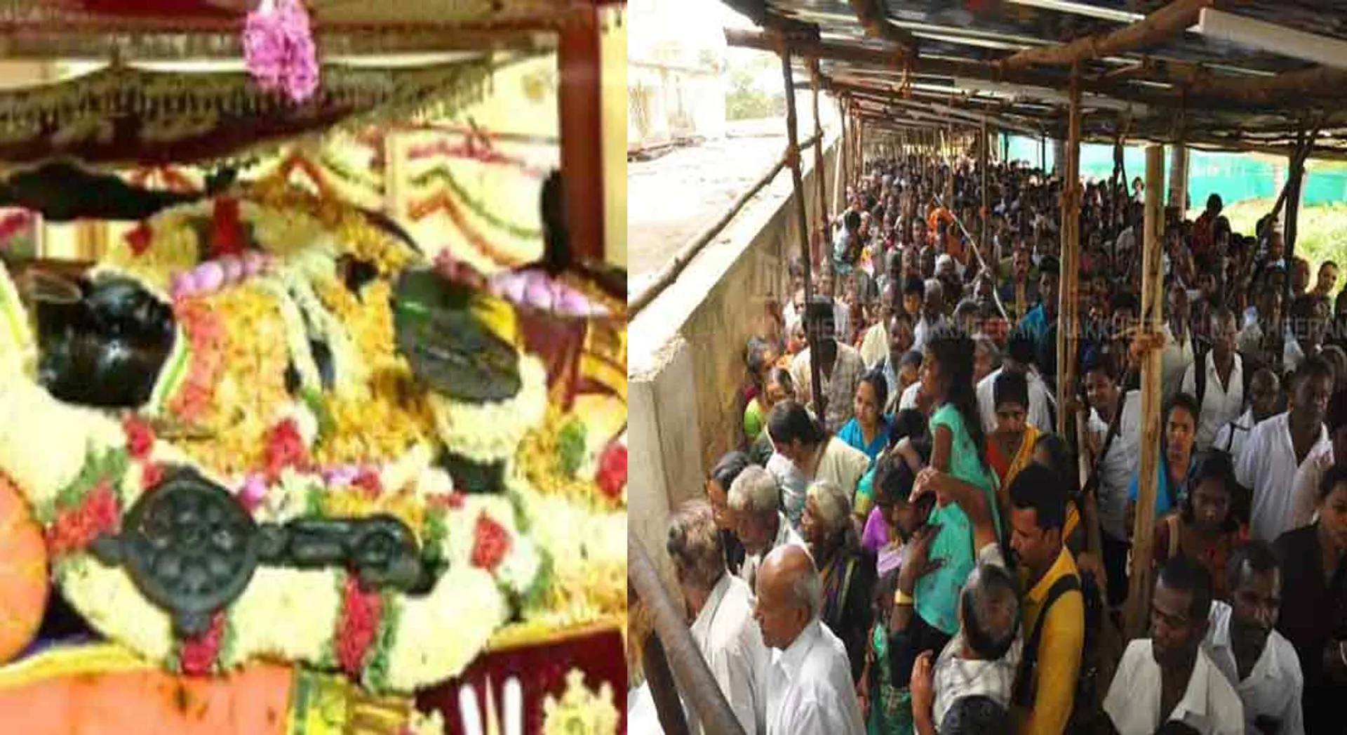 kanjipuram athivarathar public viewing is complete!