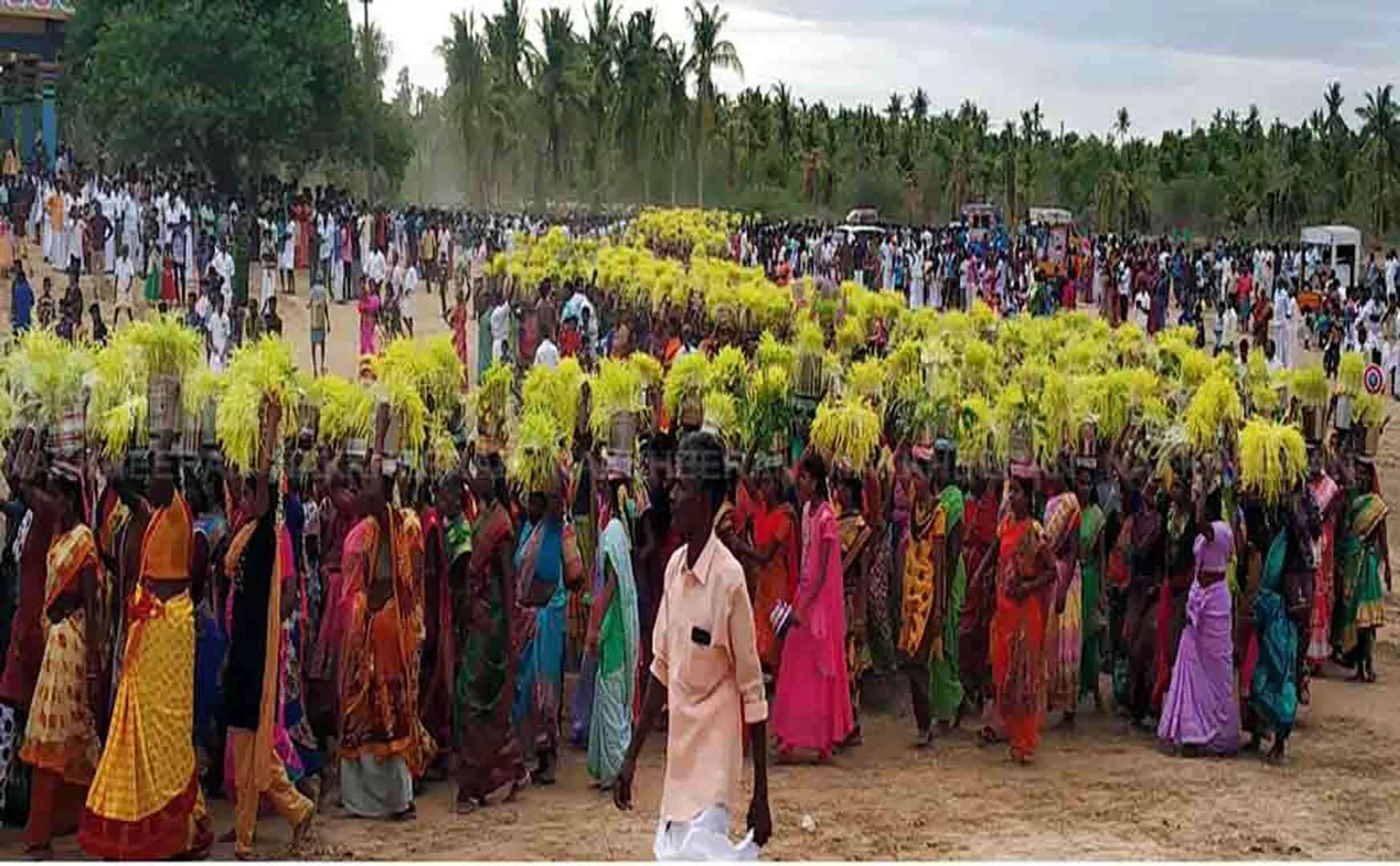 PUDUKKOTTAI FARMERS Thousands of women march SEEDS 
