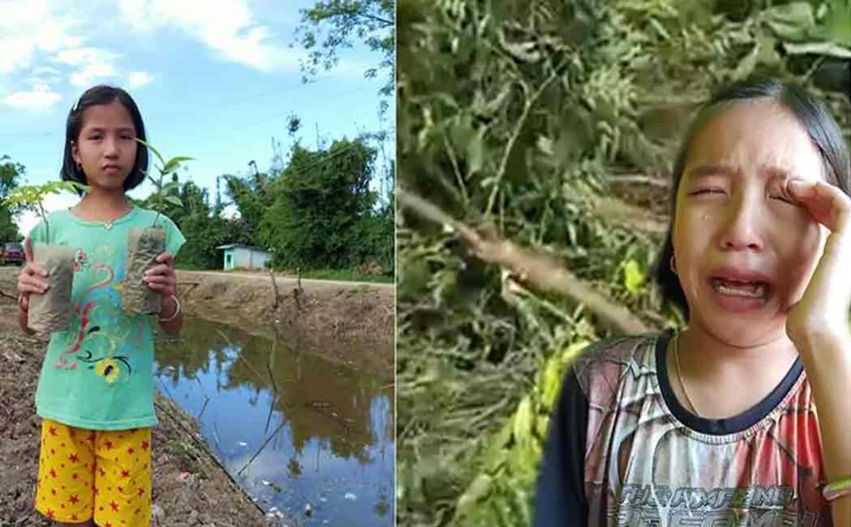 9 year old manipuri girl becomes environment ambassador 