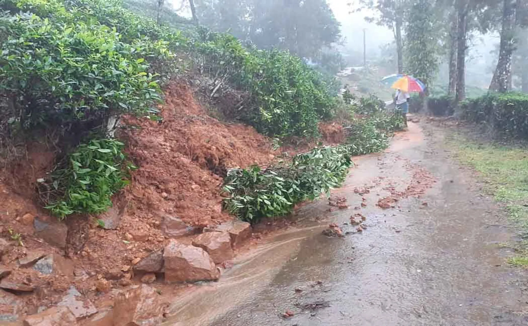 TAMILNADU COIMBATORE HEAVY RAIN AND FLOODED NILGIRIS FULLY AFFECTED
