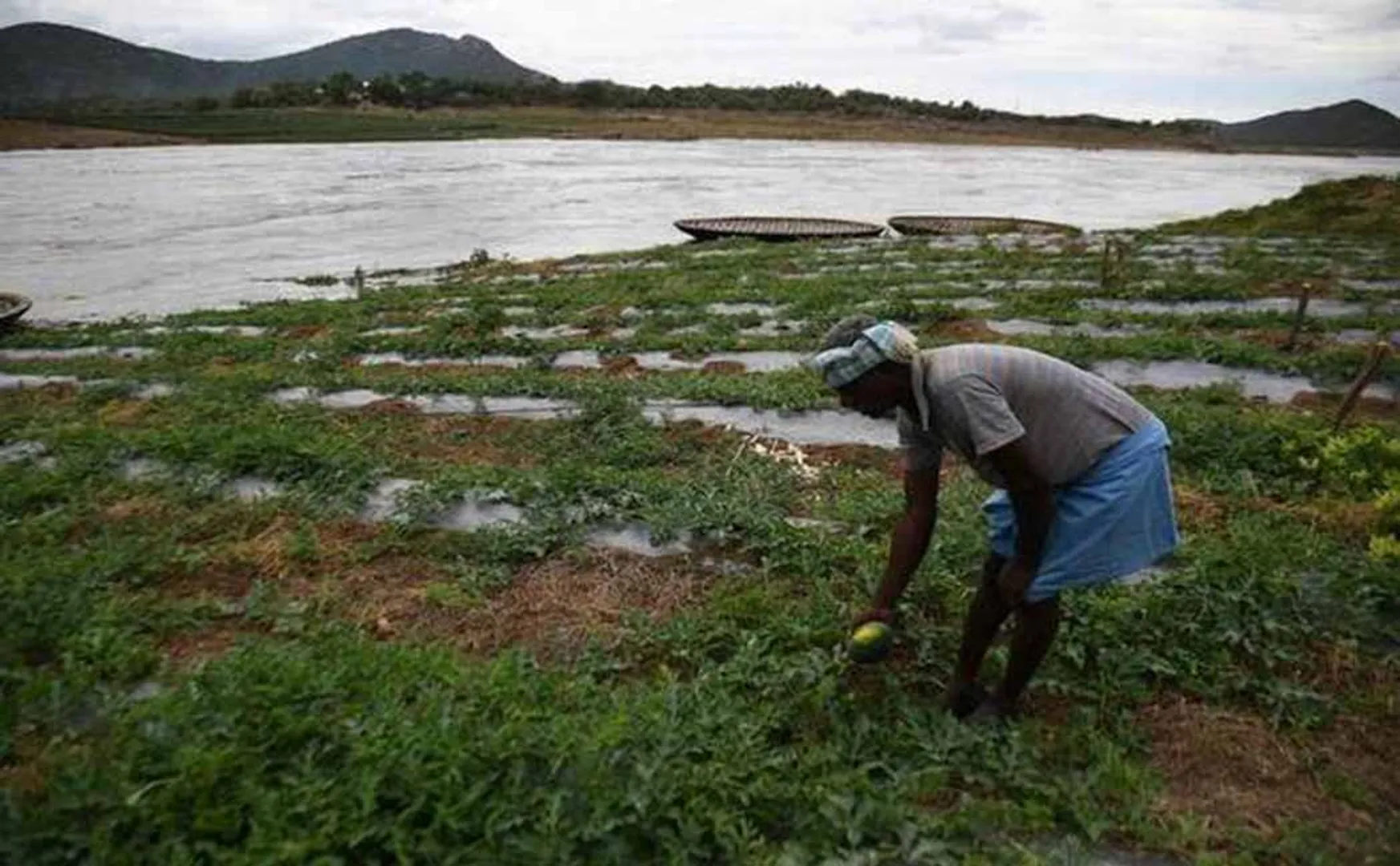 SALEM METTUR DAM AGRICULTURE PURPOSE WATER OPENING TN GOVT ANNOUNCED