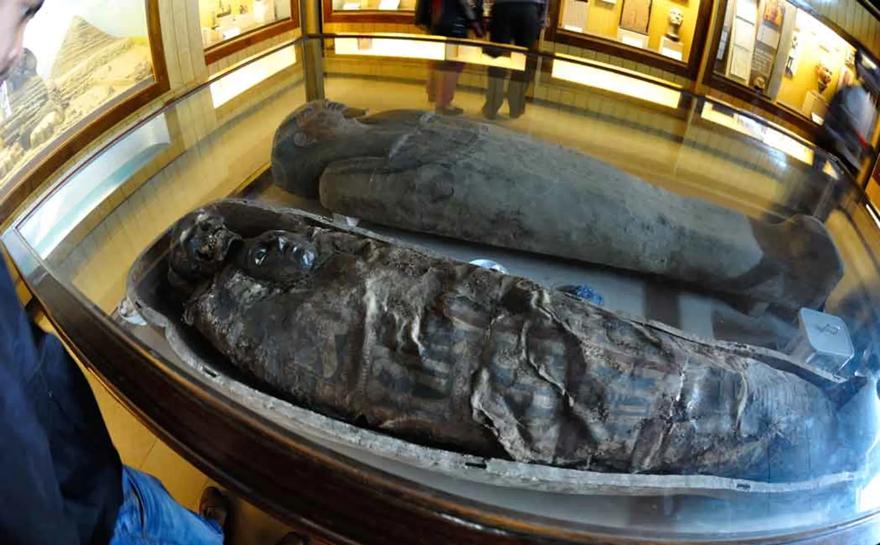 mummy