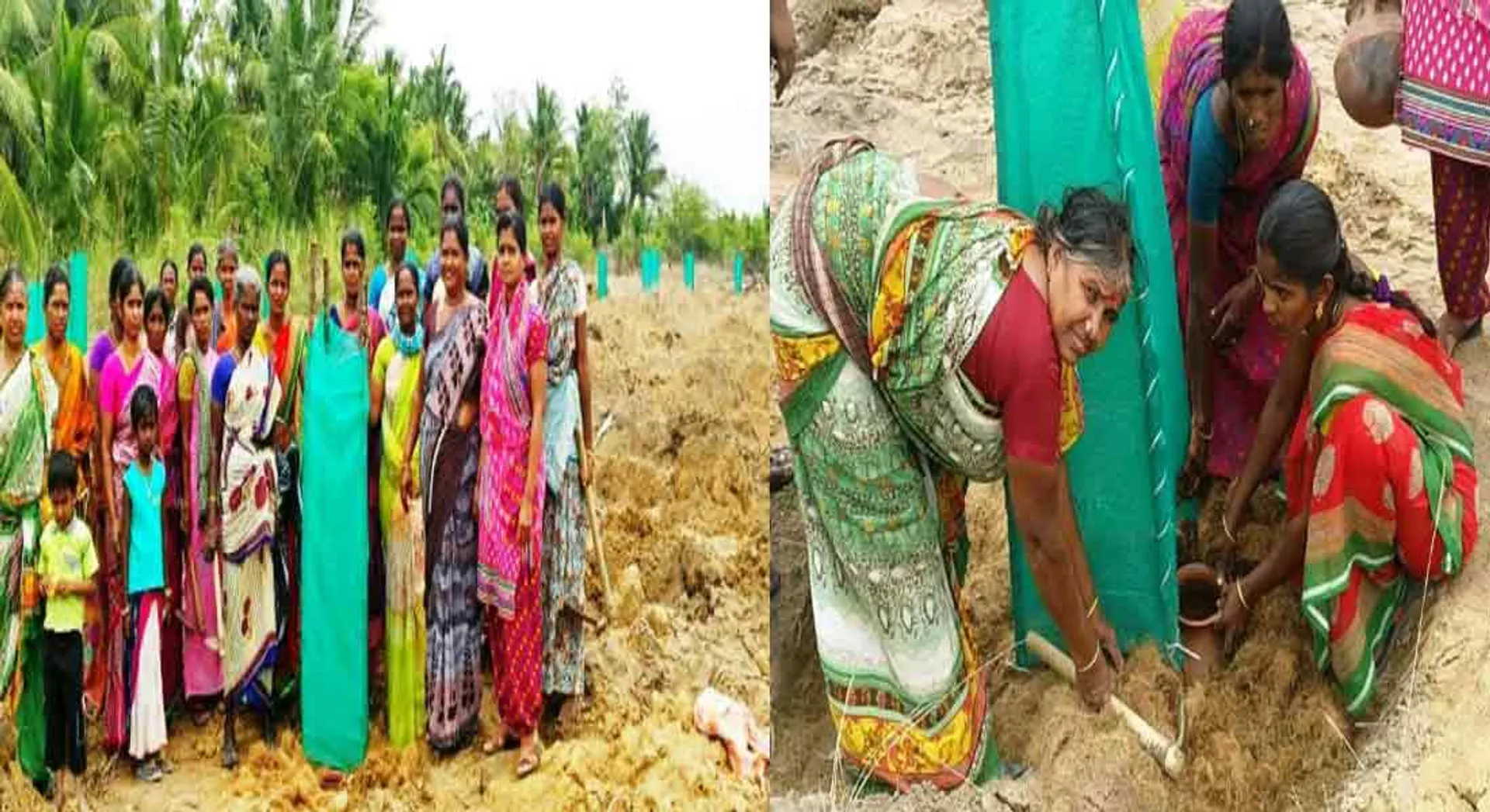  village women's who are Poured the water to grow the trees in pudukottai 