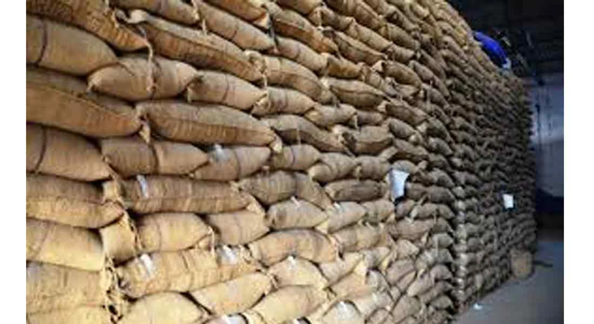 paddy bags