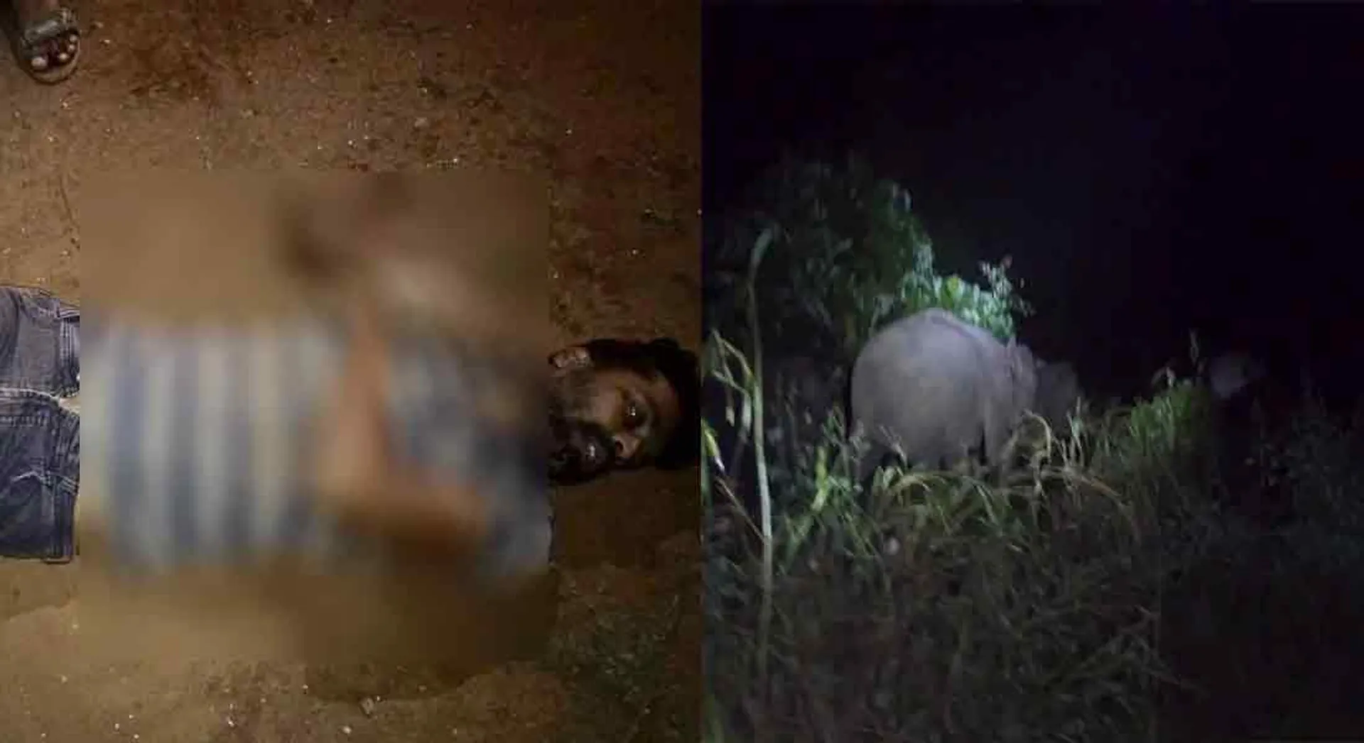 kovai incident in forest area 