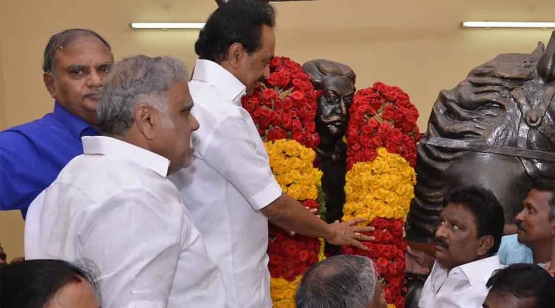 dmk