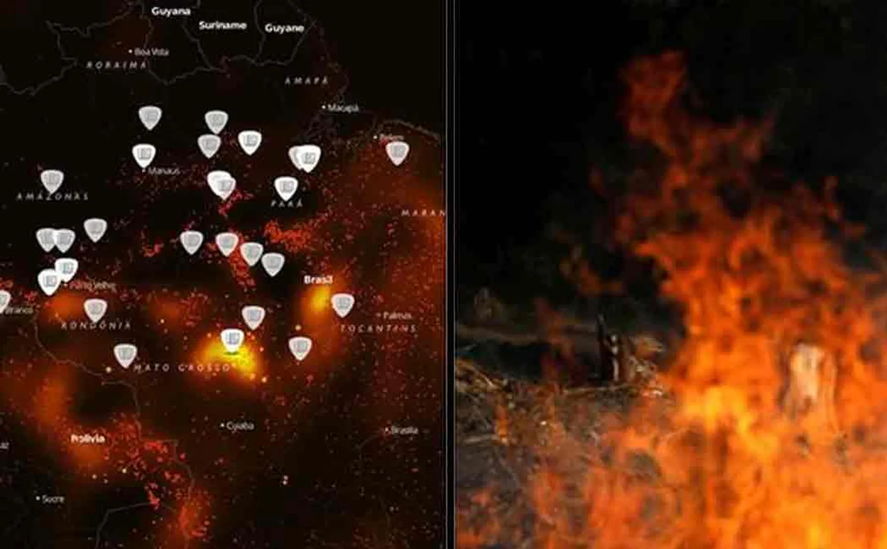 amazon forest fire in brazil